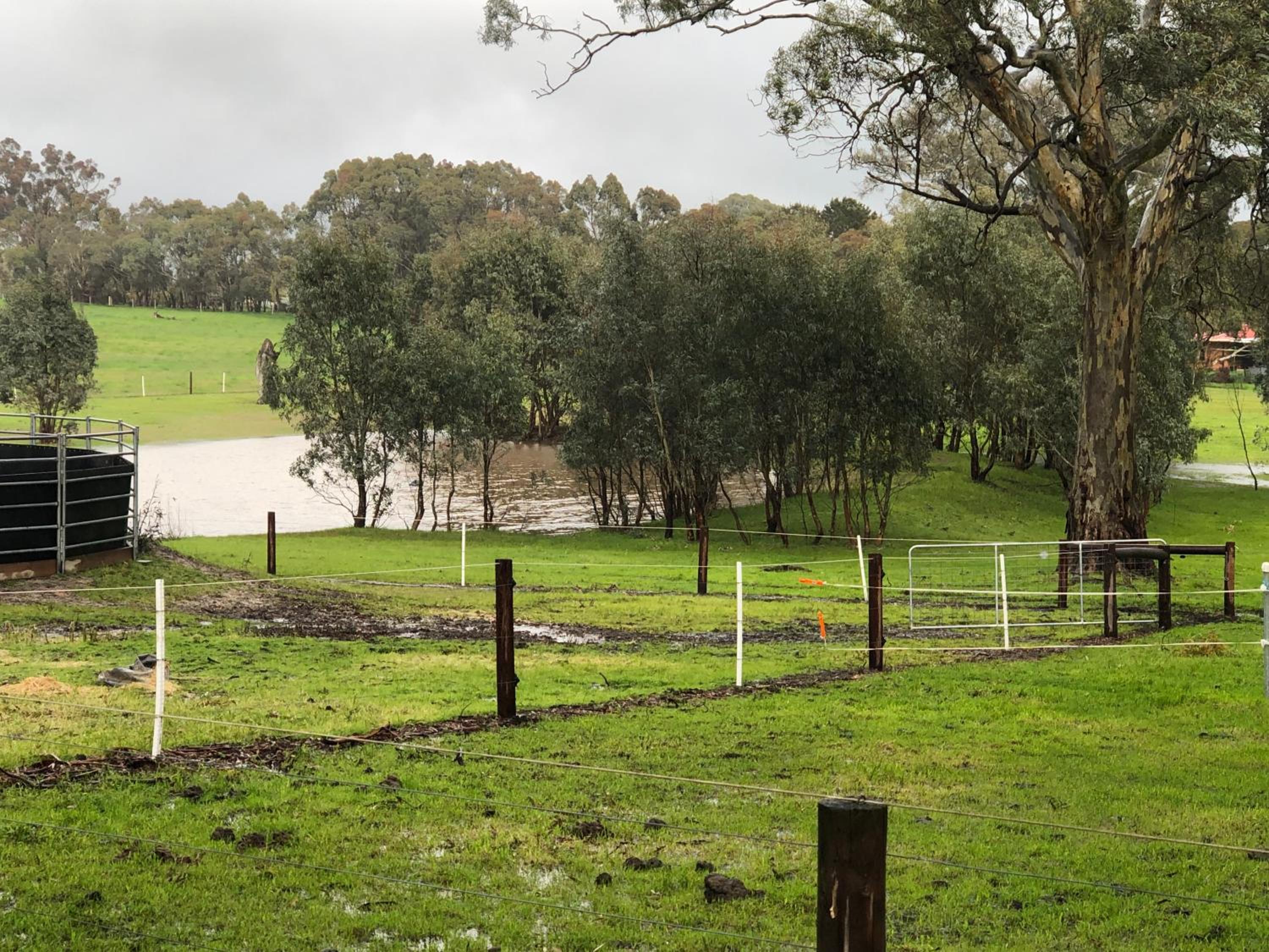 Rockridge Farm