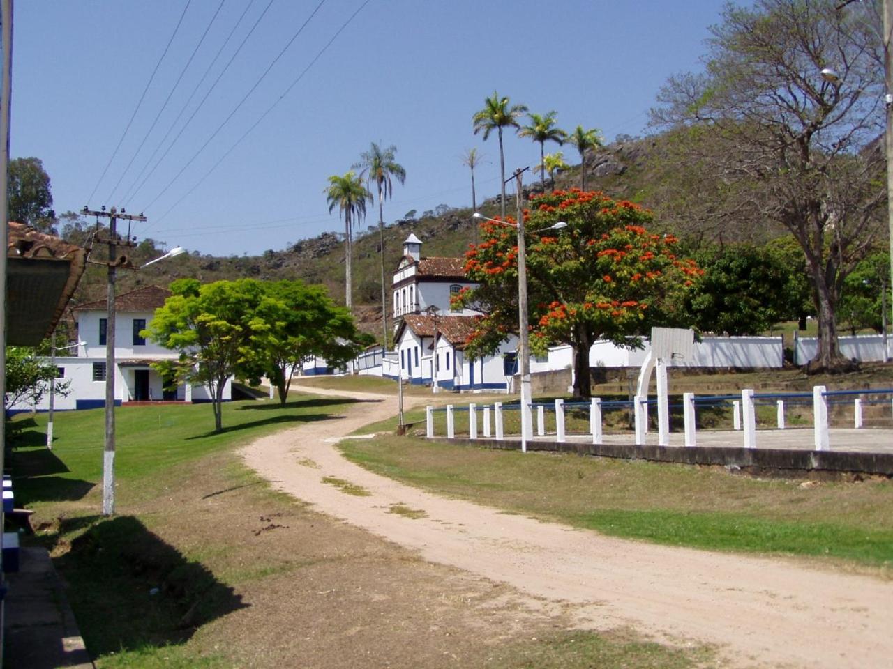 Photo 45