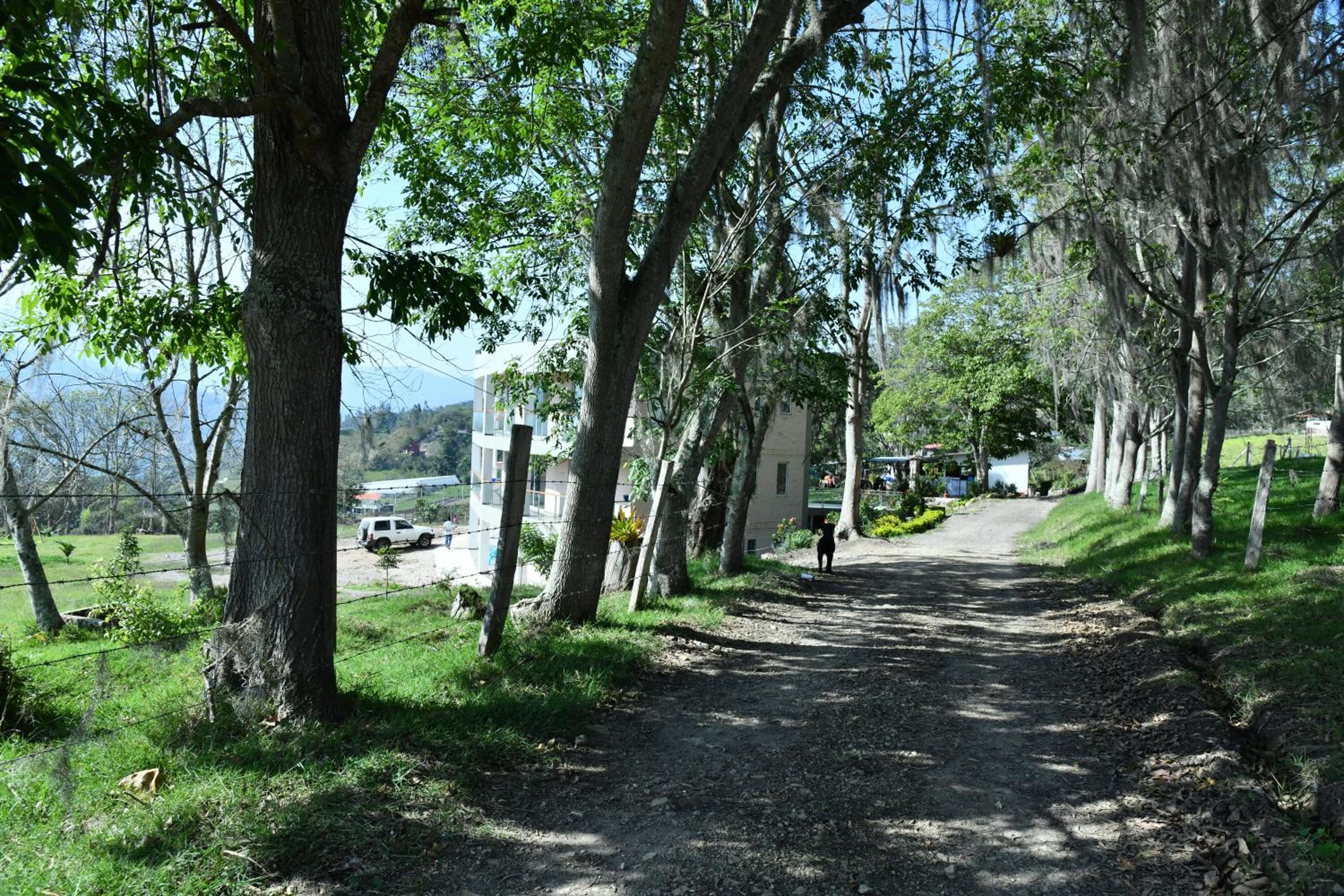 Photo 23
