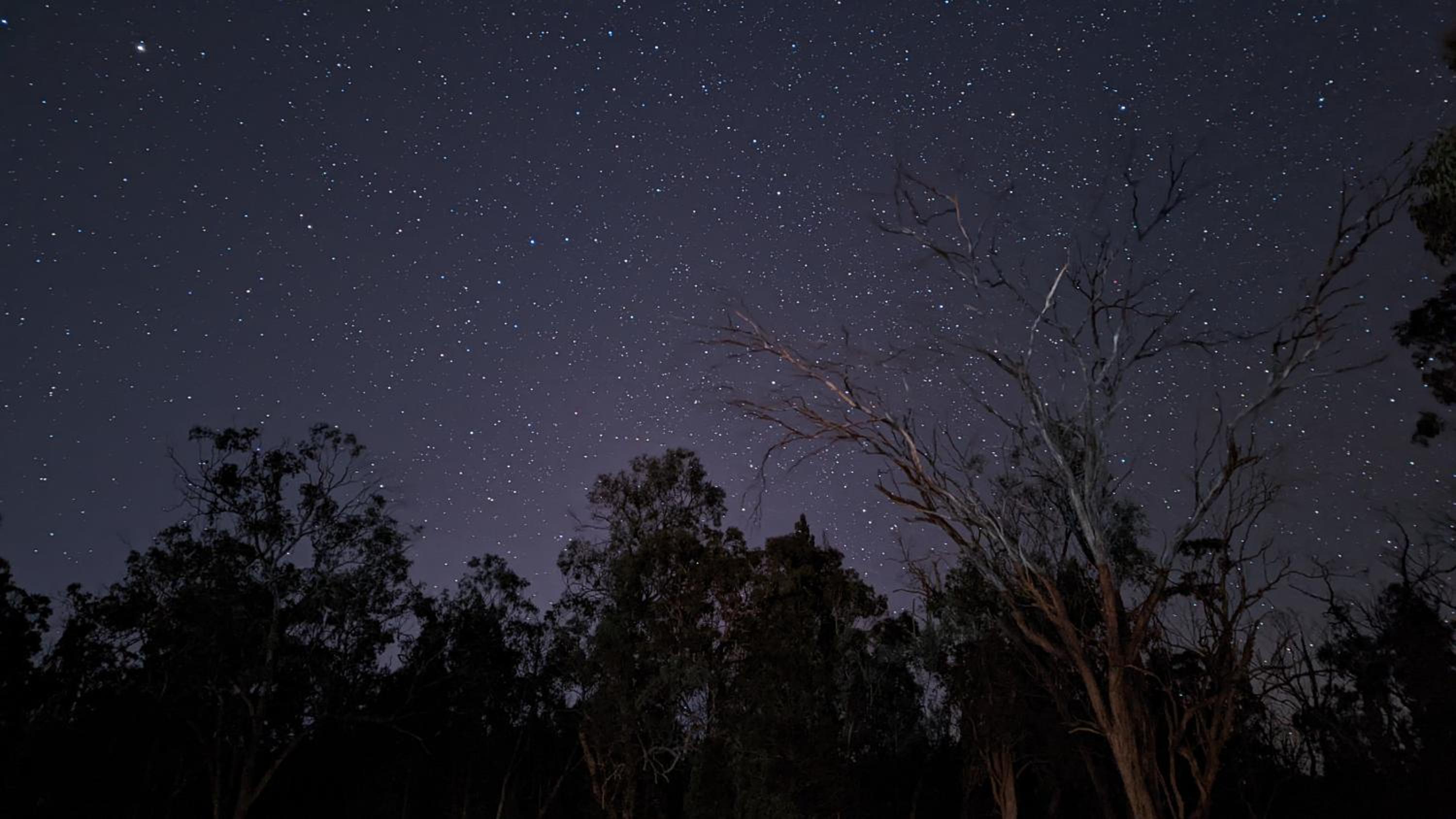 Diamondvale Estate Stanthorpe