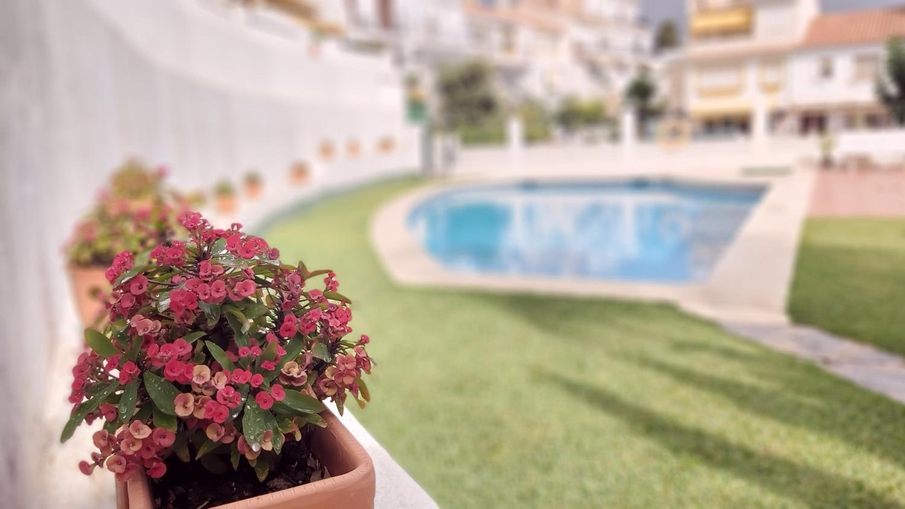 Del Parque Flats Meseta Swimmingpool