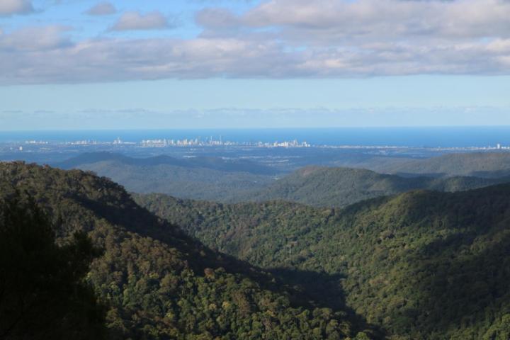 Rosella's On Springbrook
