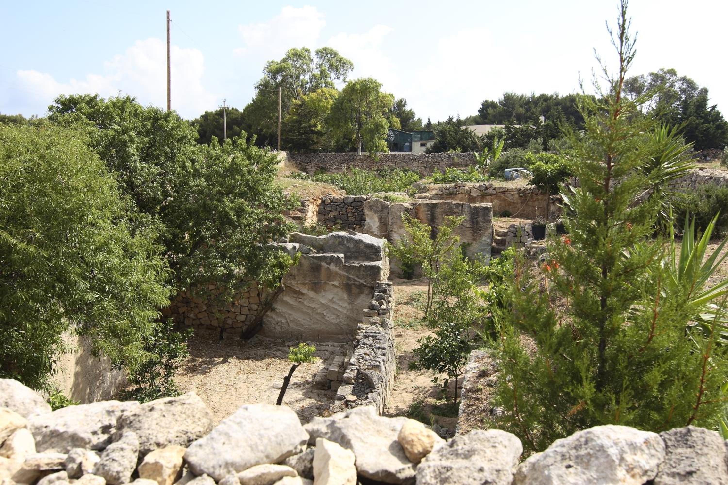 Photo 44