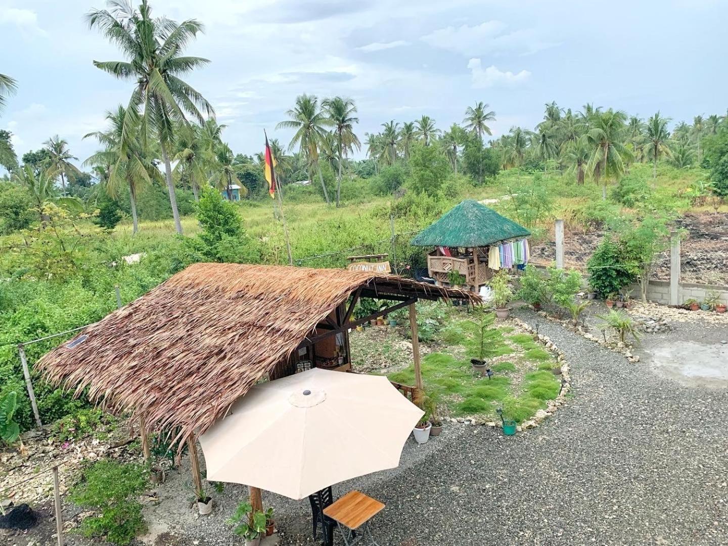 Coconut Inn Moalboal