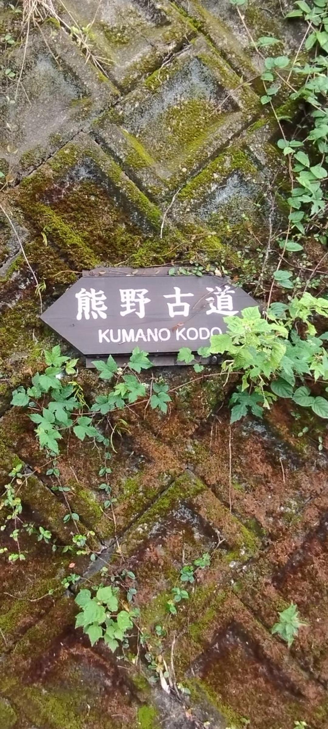Kumano Kodo Nagano Guesthouse view 4