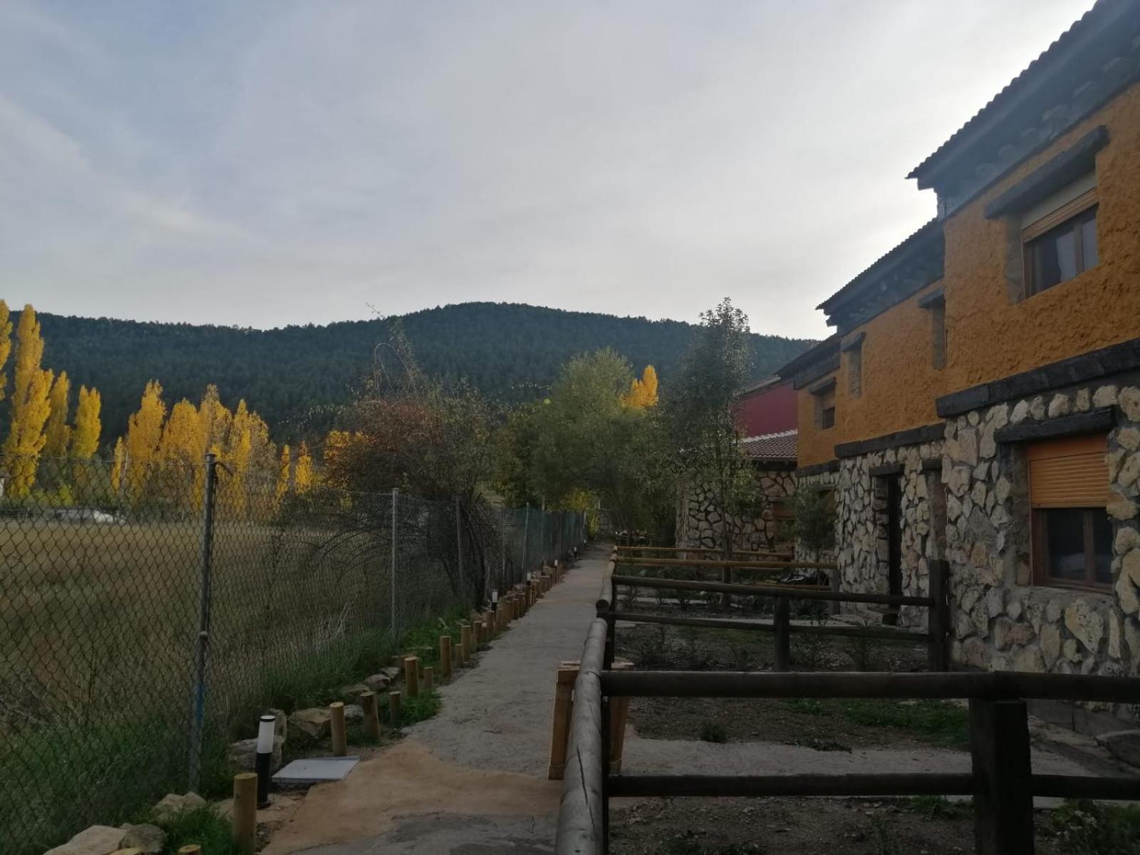 Photo 25