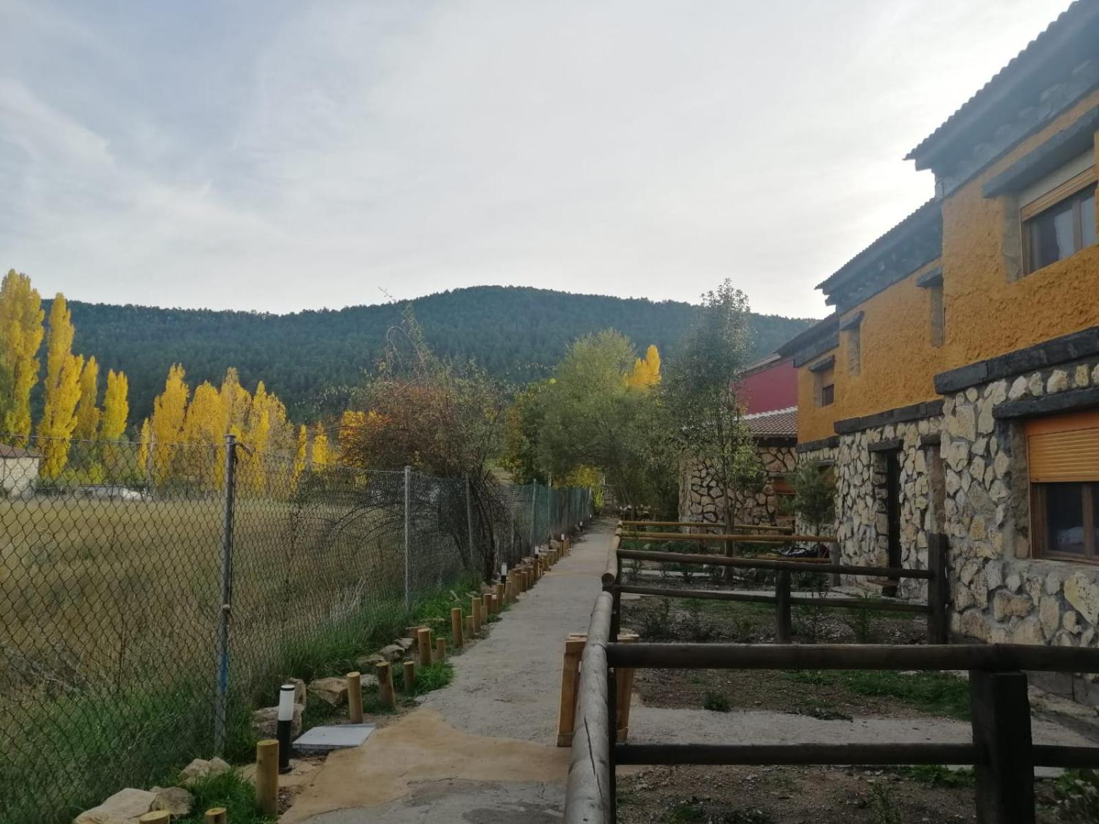 Photo 22