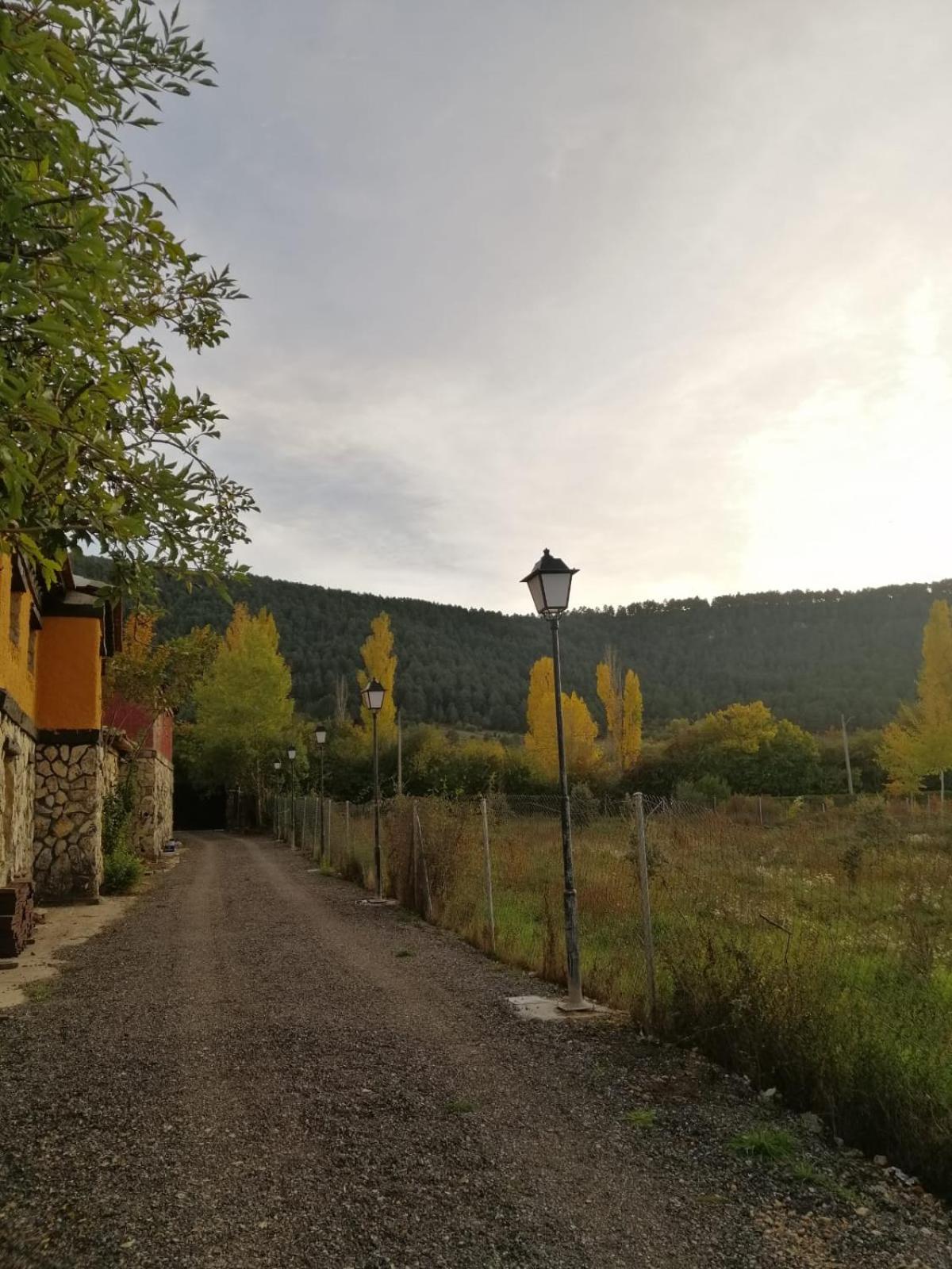 Photo 21
