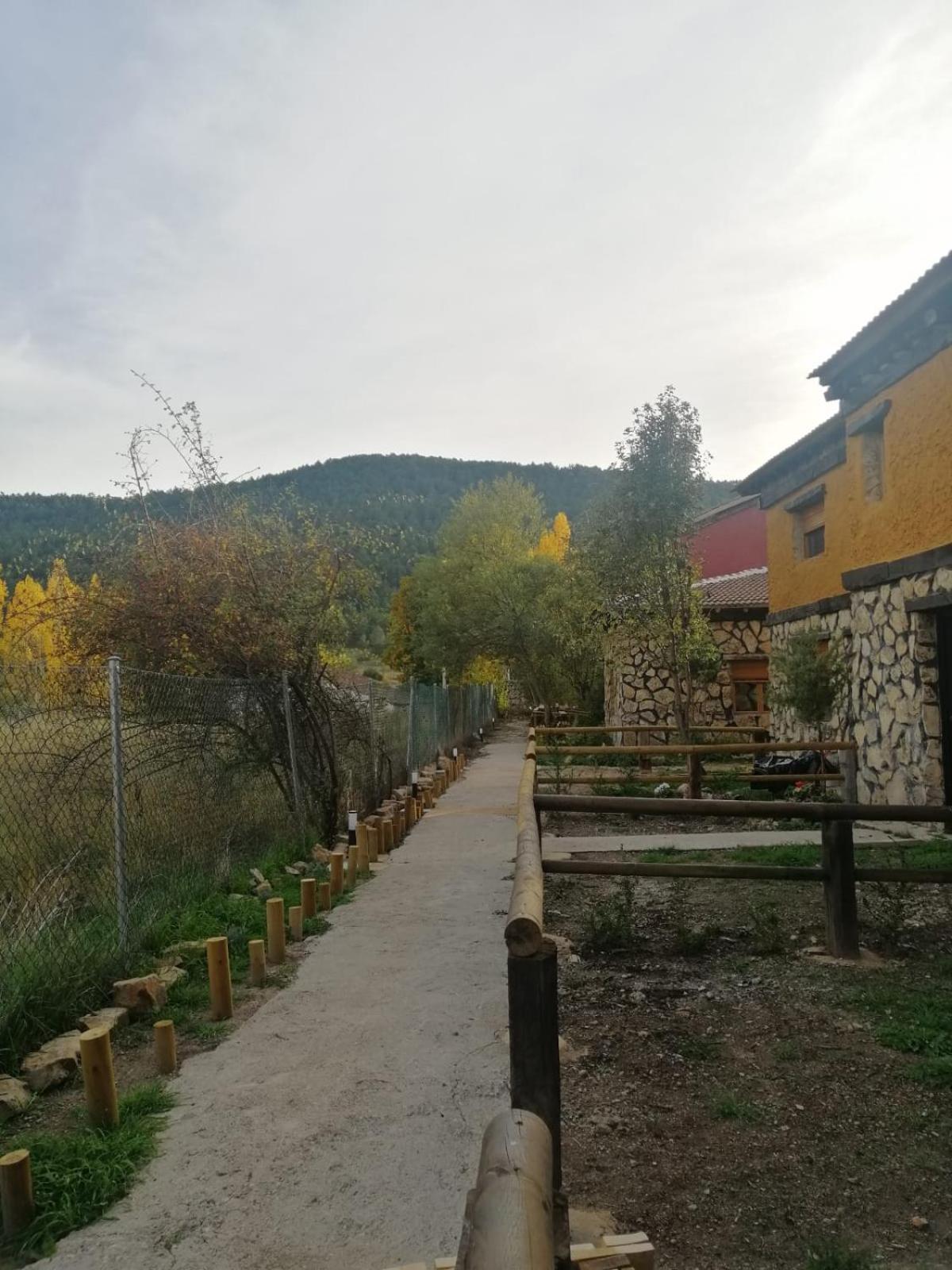 Photo 18