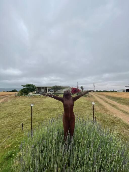 human