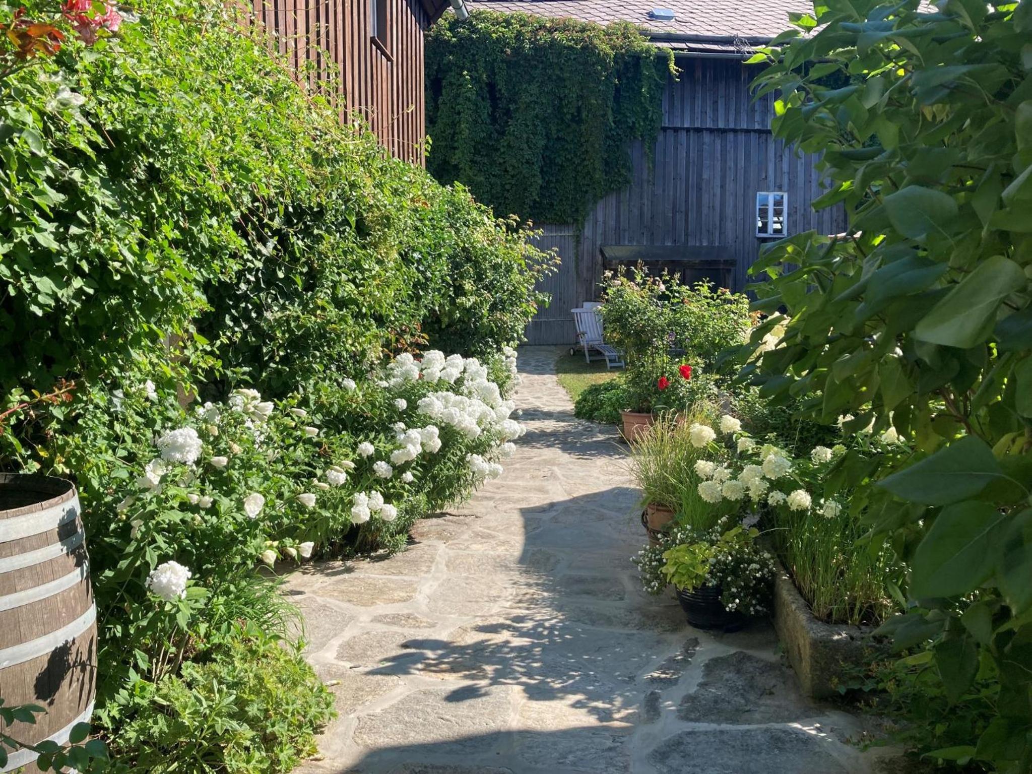 Austragshaus Almbranz - Property Image 5