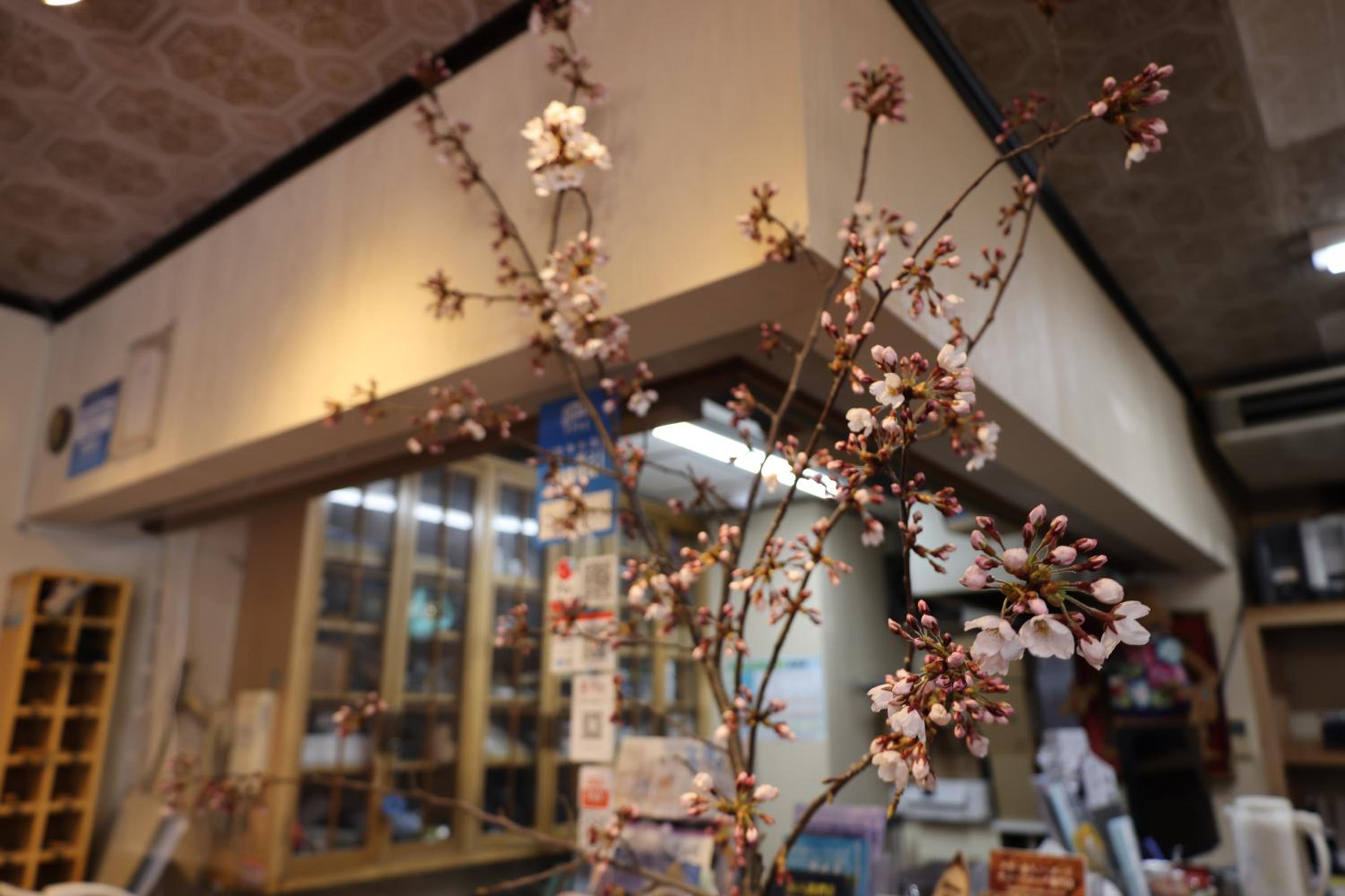 Yuzawa Ski House