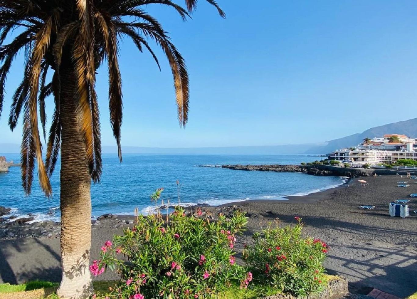 BuenaVista Sunflower Apartment in Playa La Arena