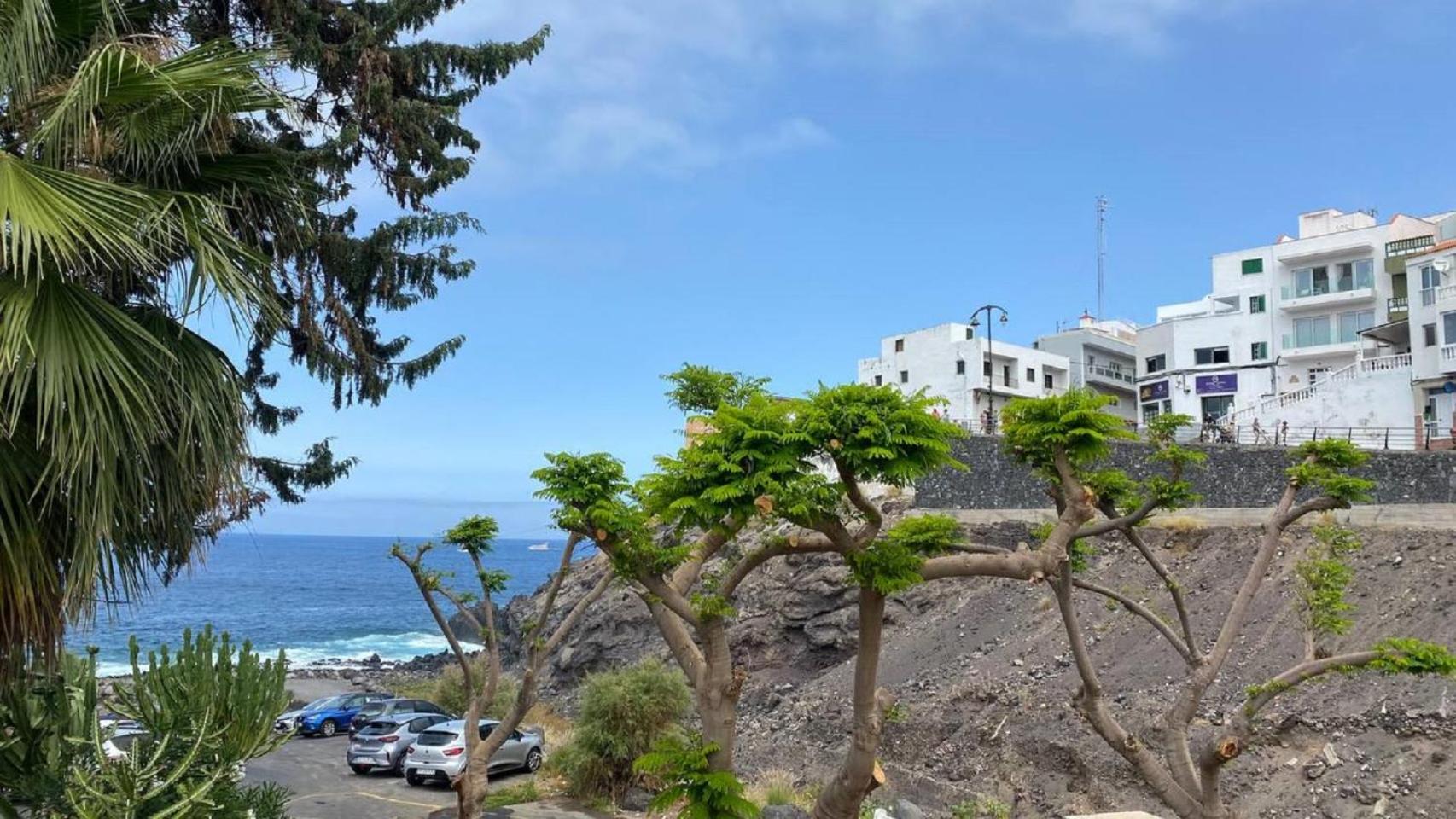 BuenaVista Sunflower Apartment in Playa La Arena