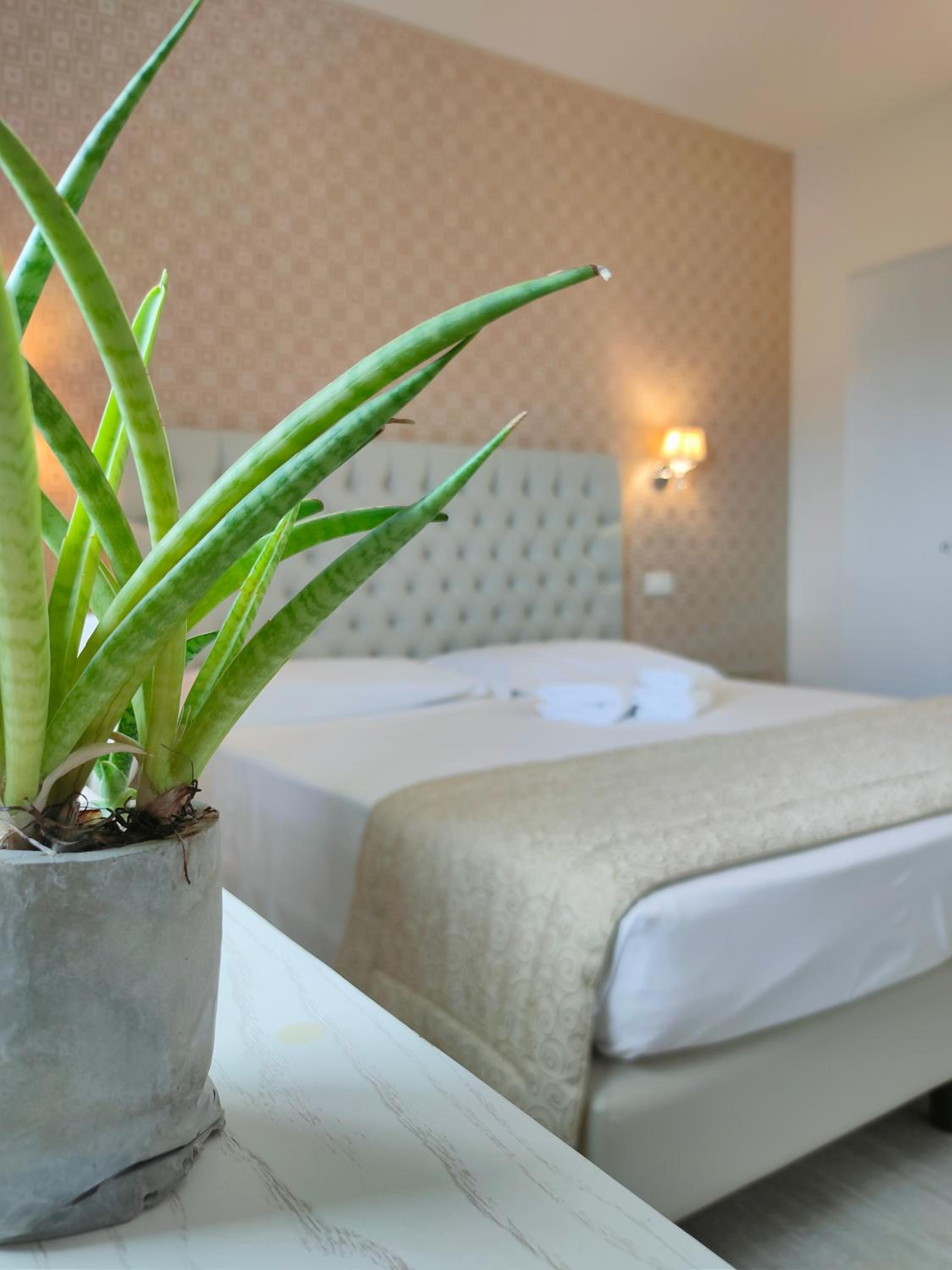 Nuova Opera Rooms & Apartments