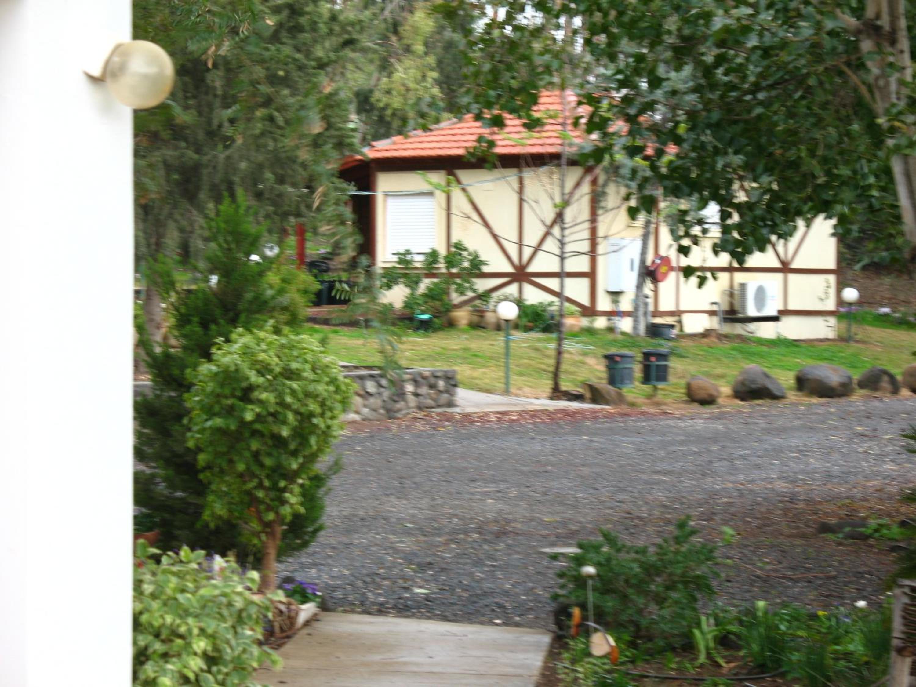 Photo 8