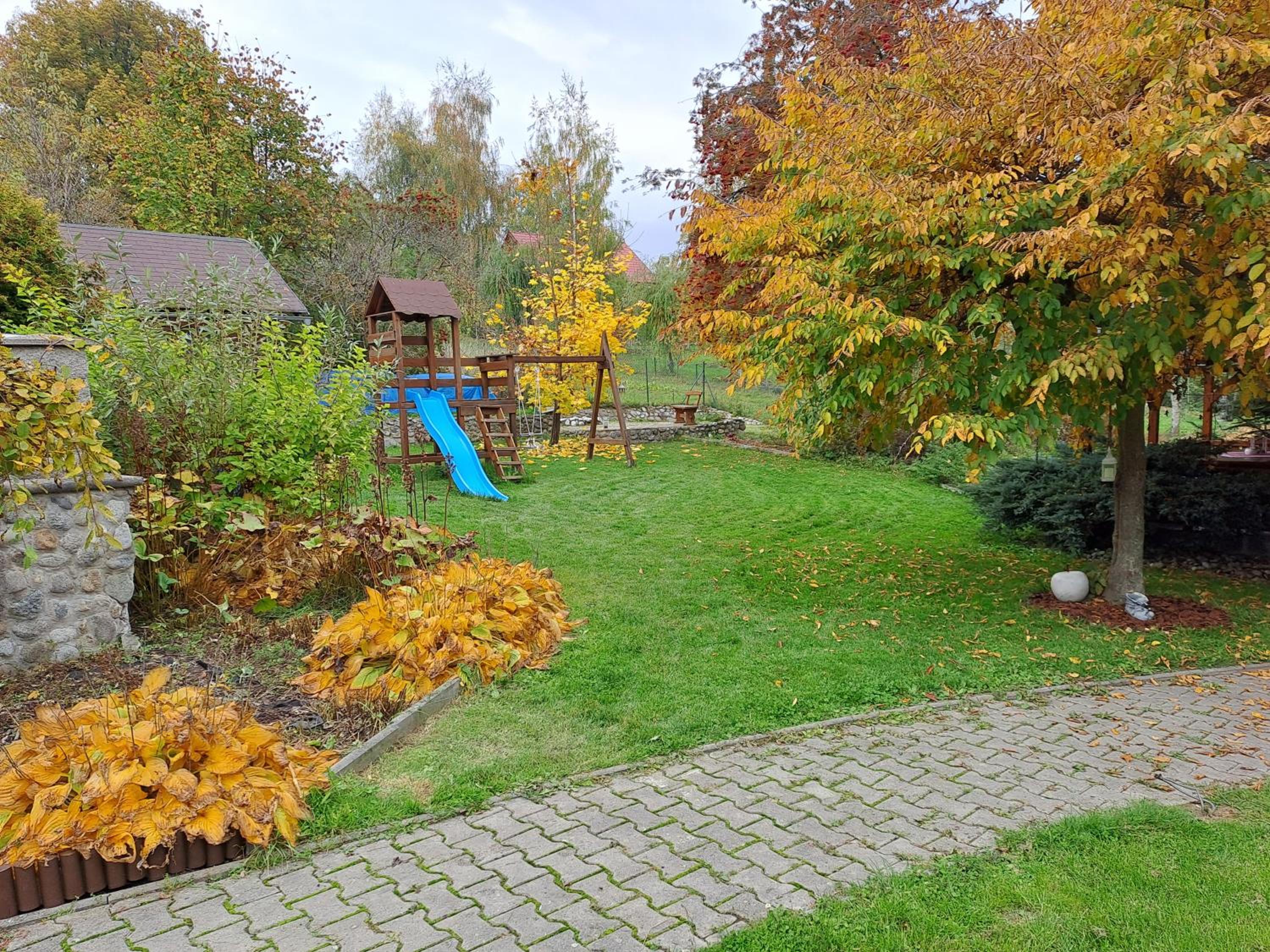 Photo 45