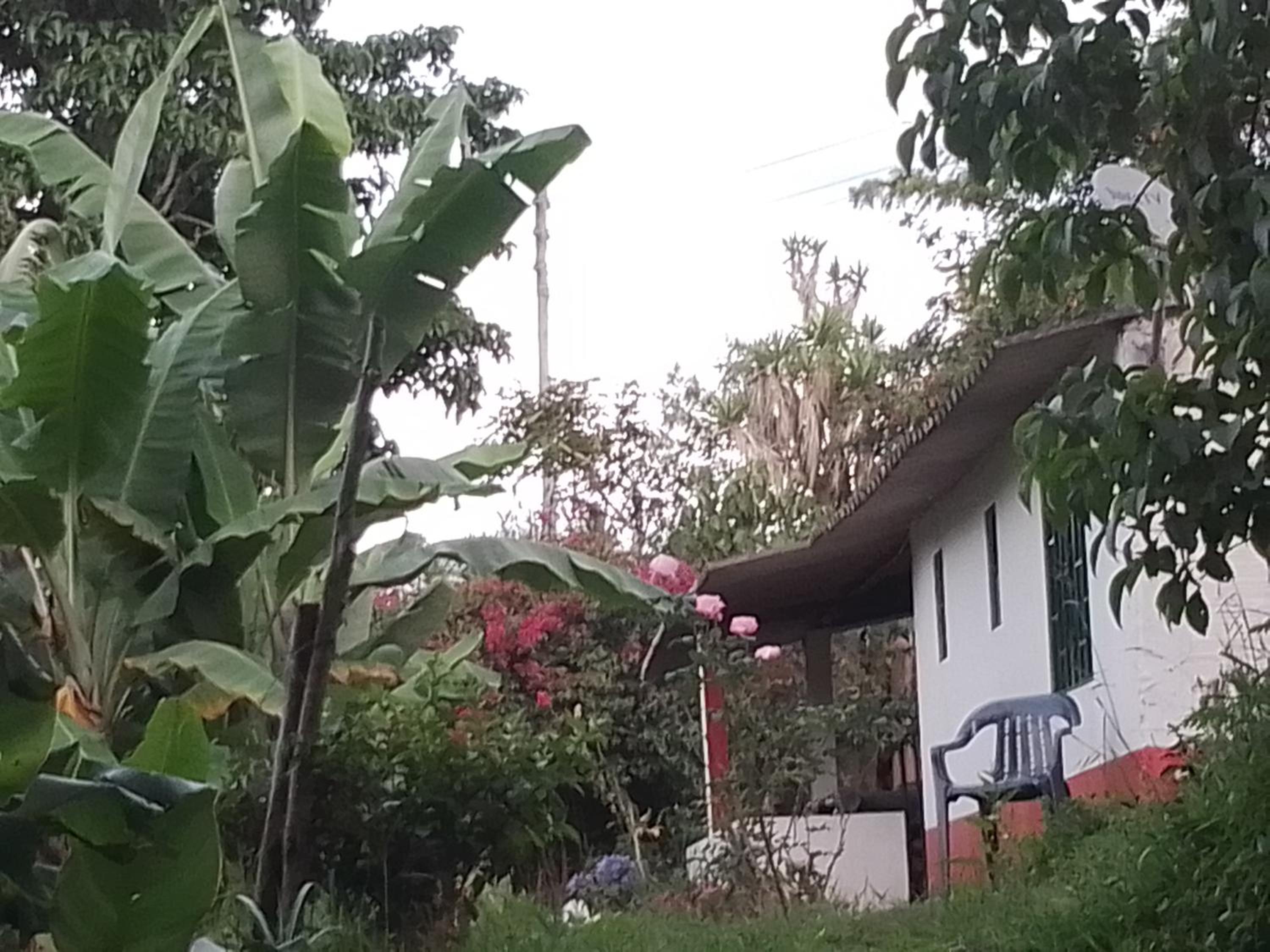 Finca Umnisa - Choachi