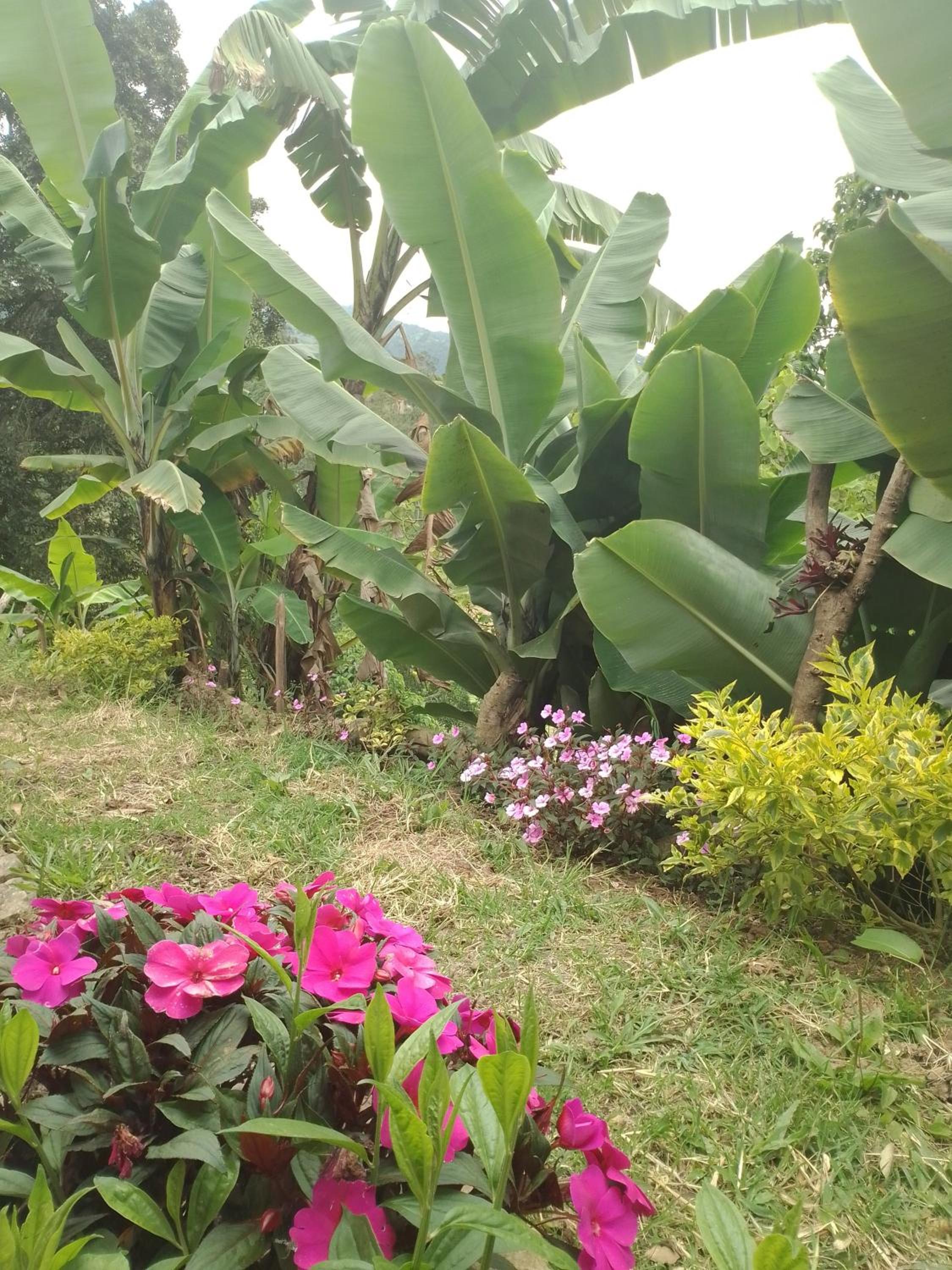 Finca Umnisa - Choachi