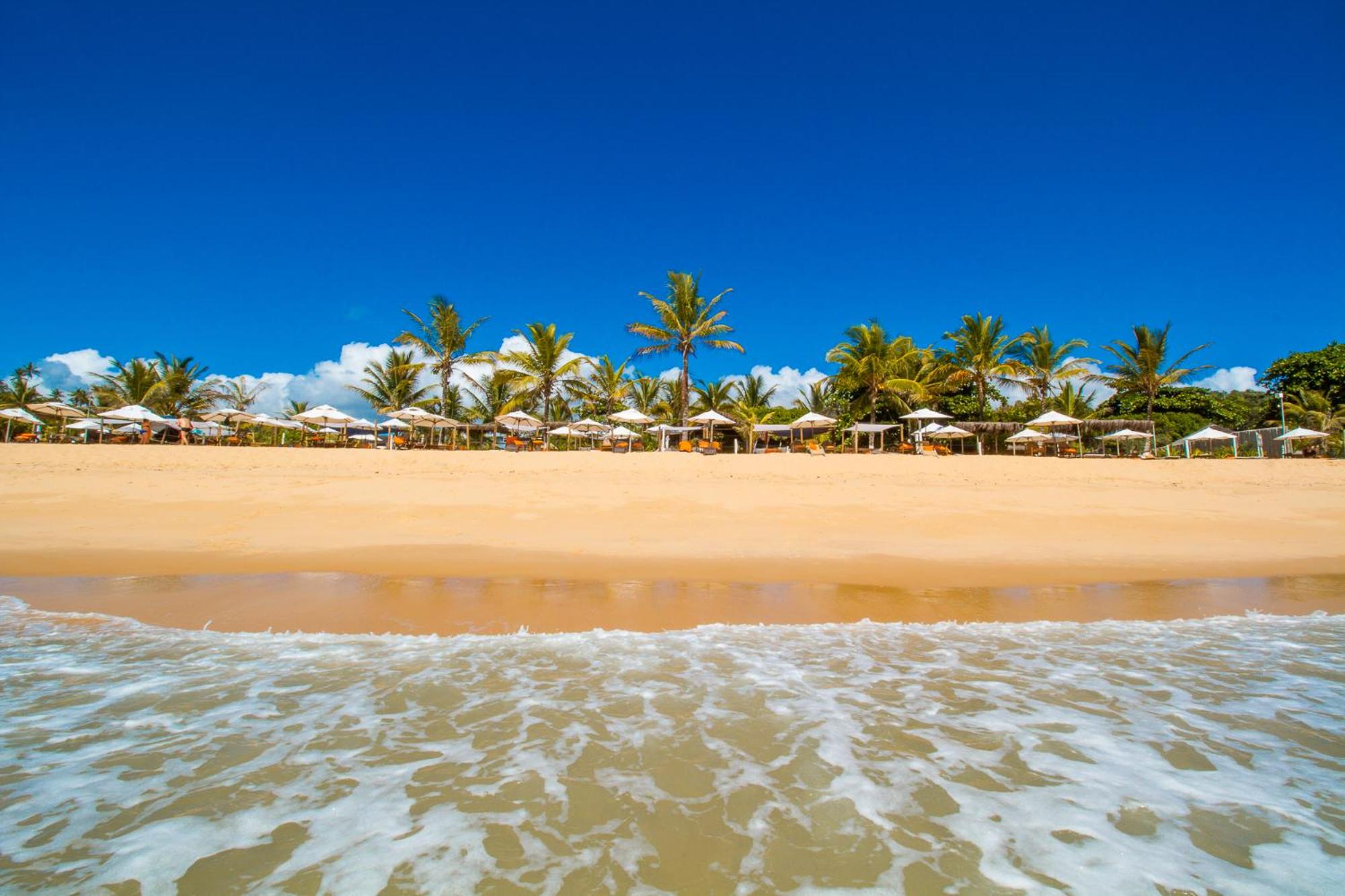 Photo 66