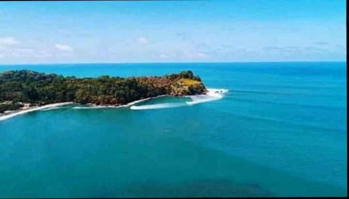 OCEANSURF hosteria
