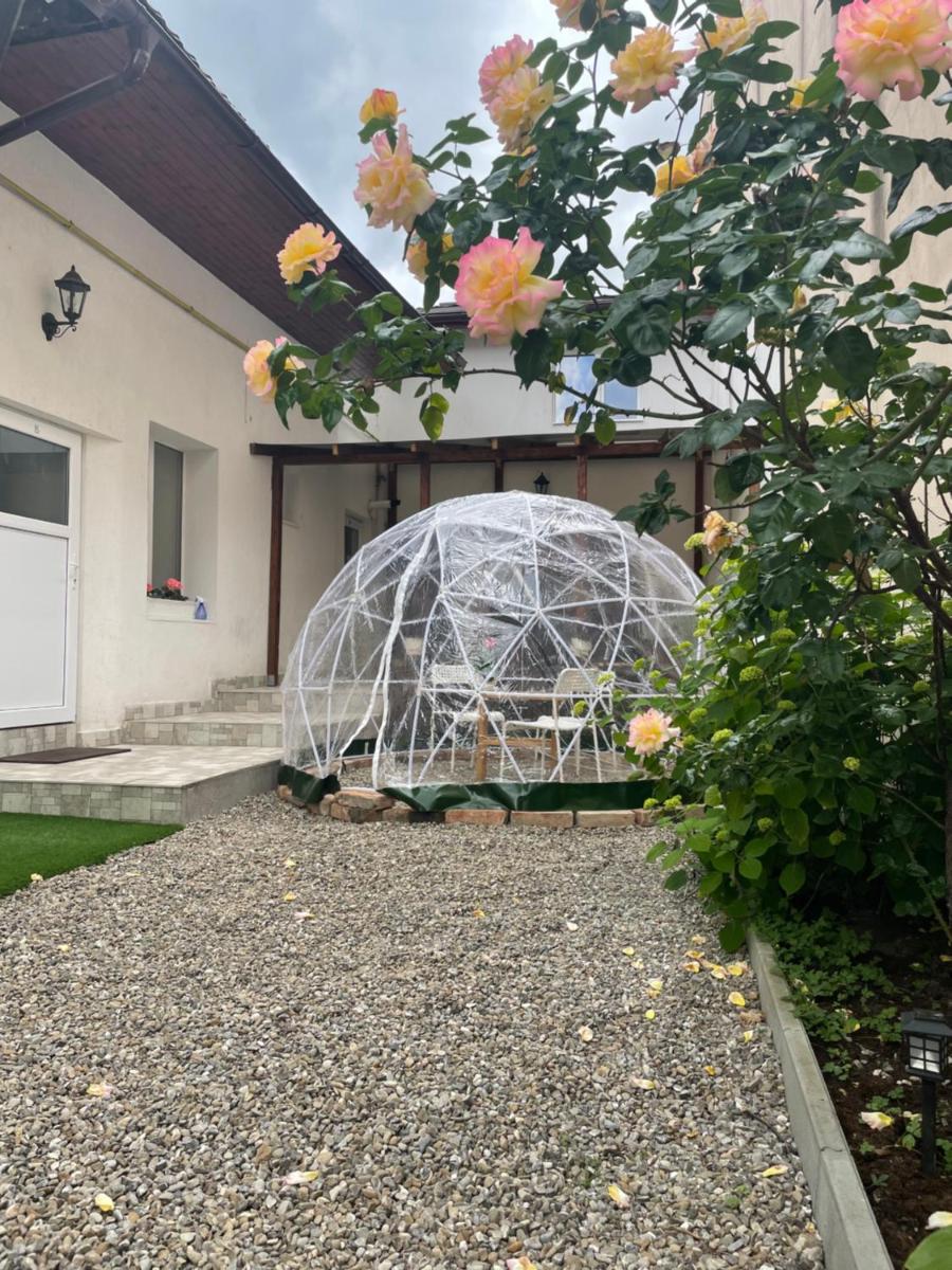 Hotel LONDOF Housing City Center Brasov - Image 1