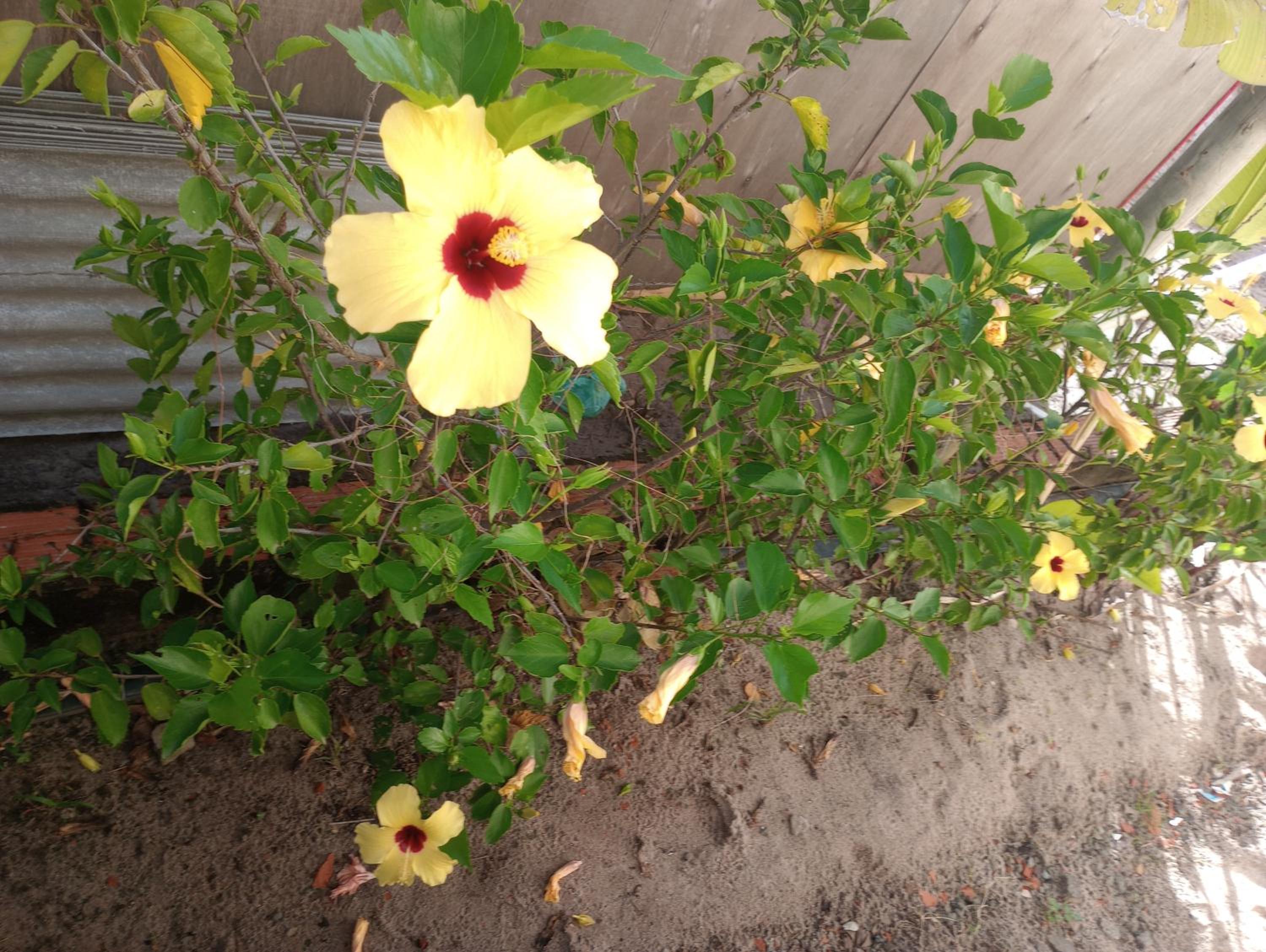 Photo 34