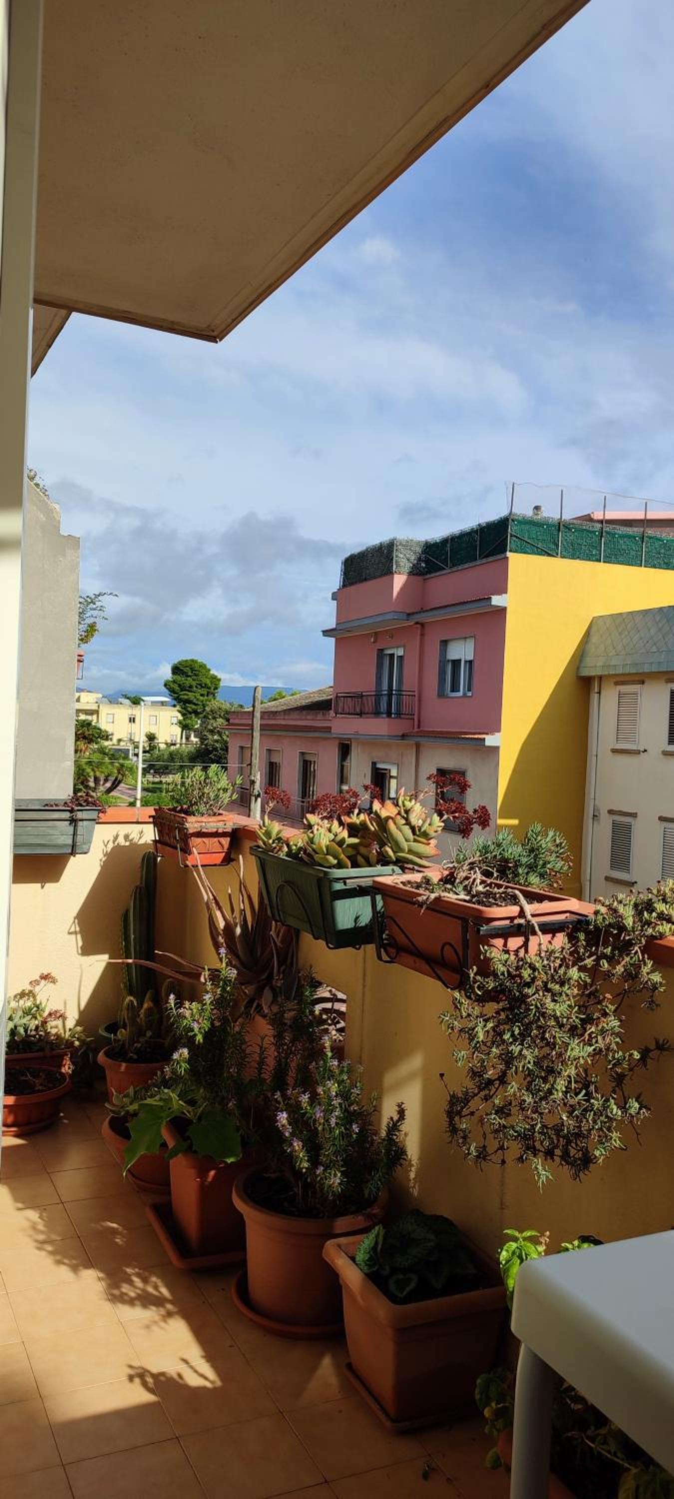 La casa delle tortamele