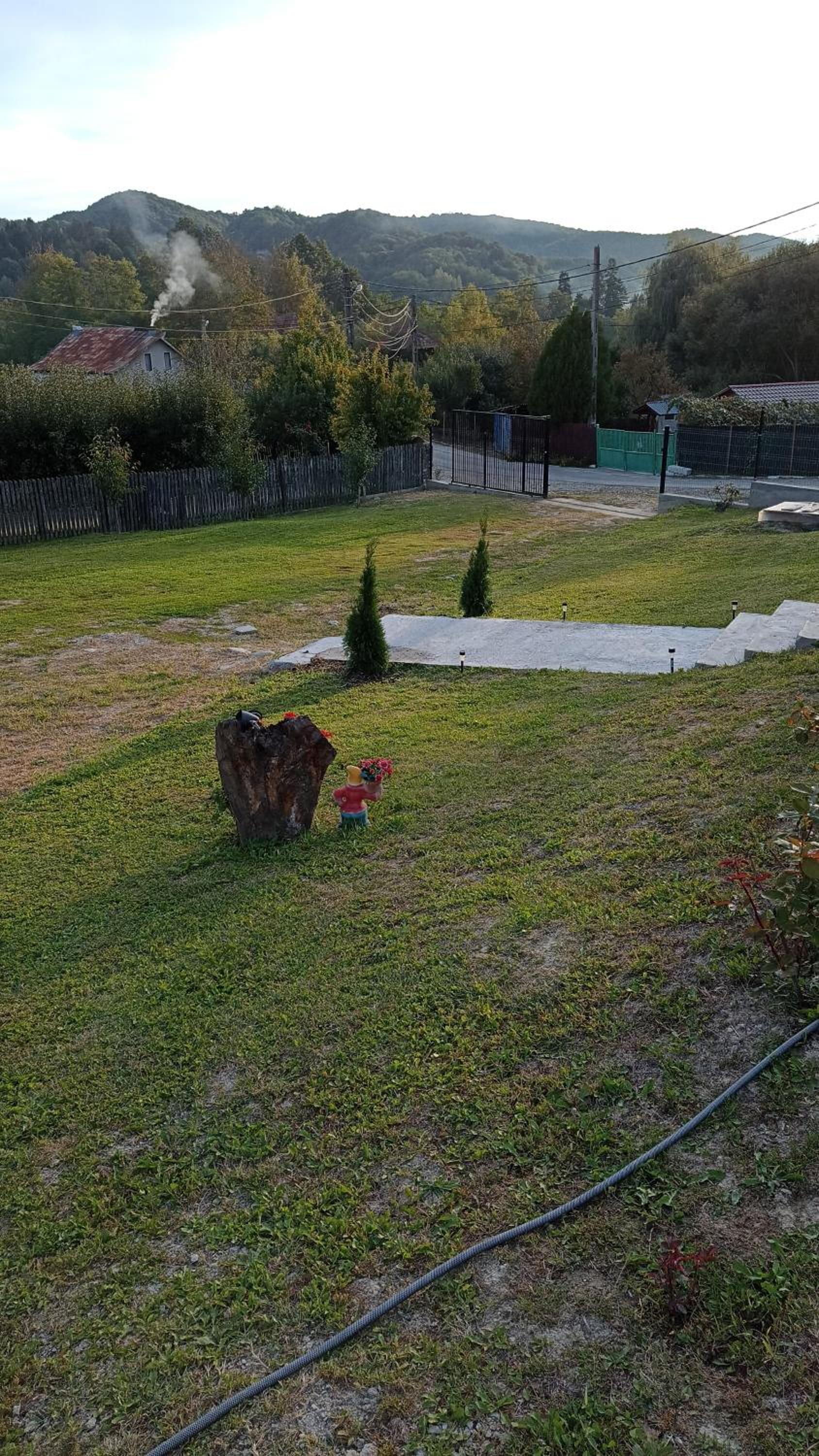 Photo 24