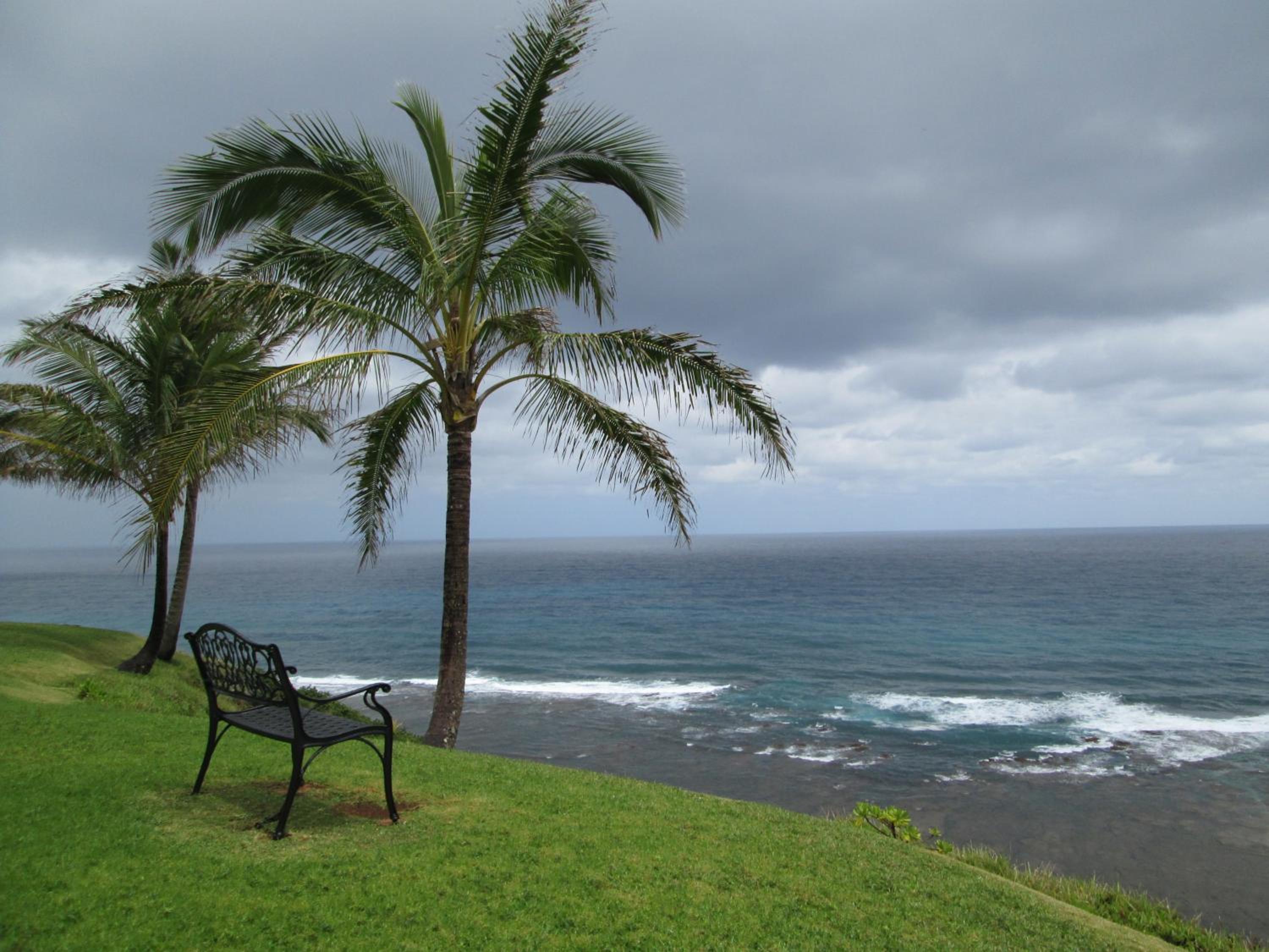 Princeville Sealodge Unit D-4 view 4