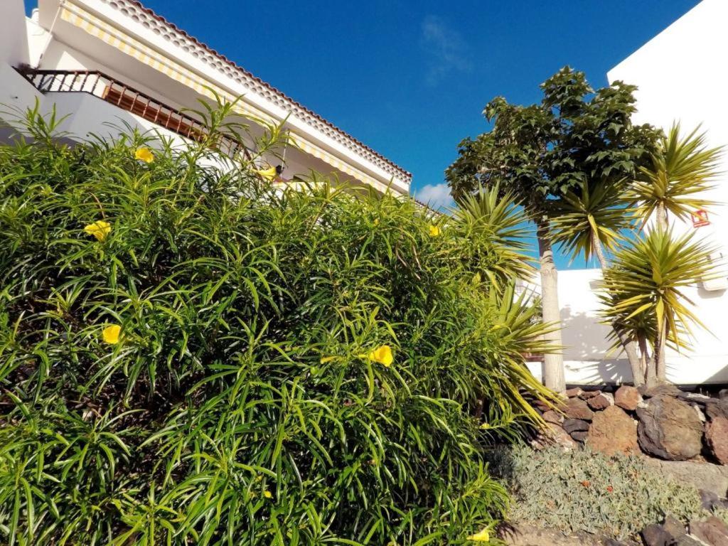 Las Bouganvillas Ocean View