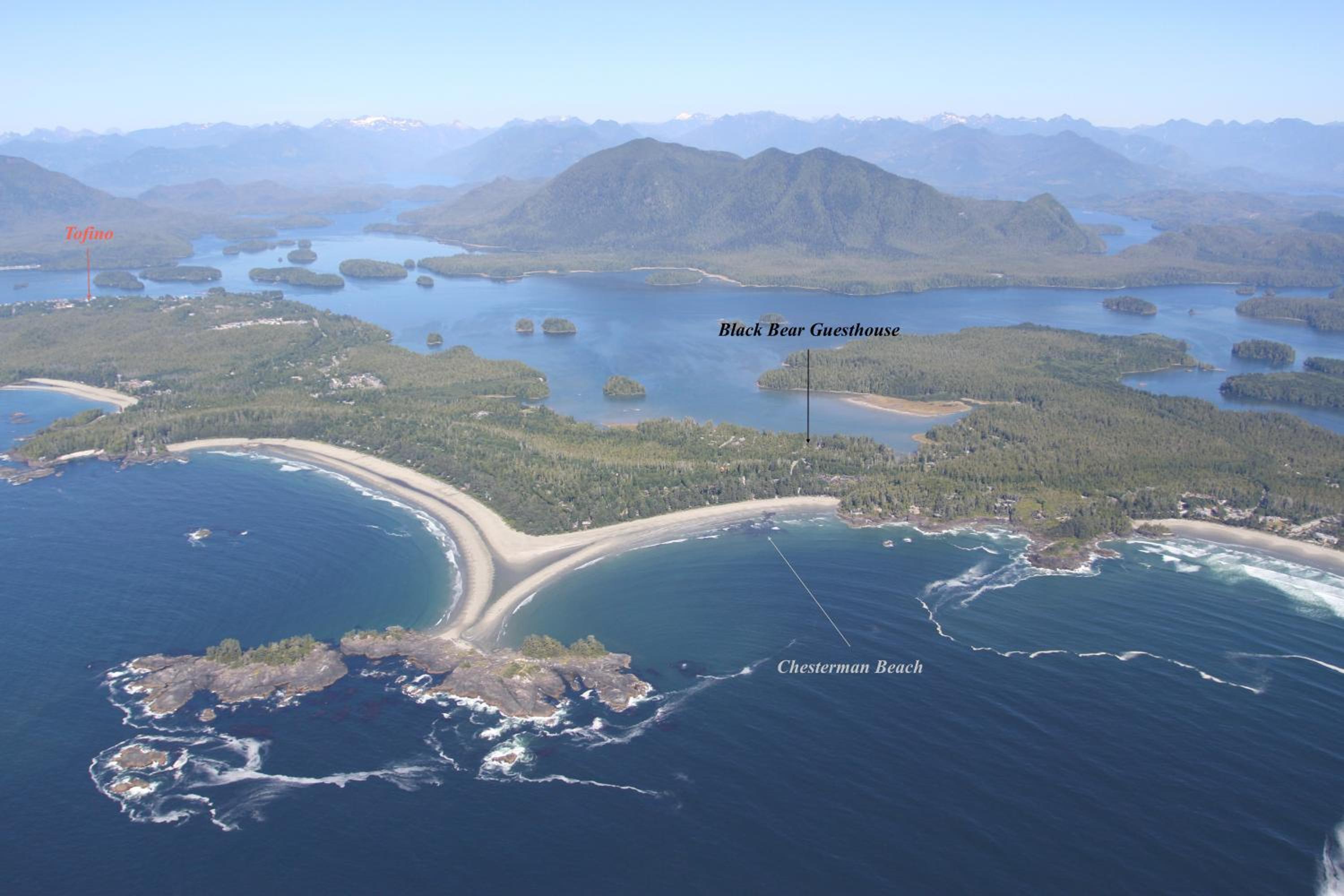 Tofino Vacations - Black Bear Guesthouse - Property Image 5