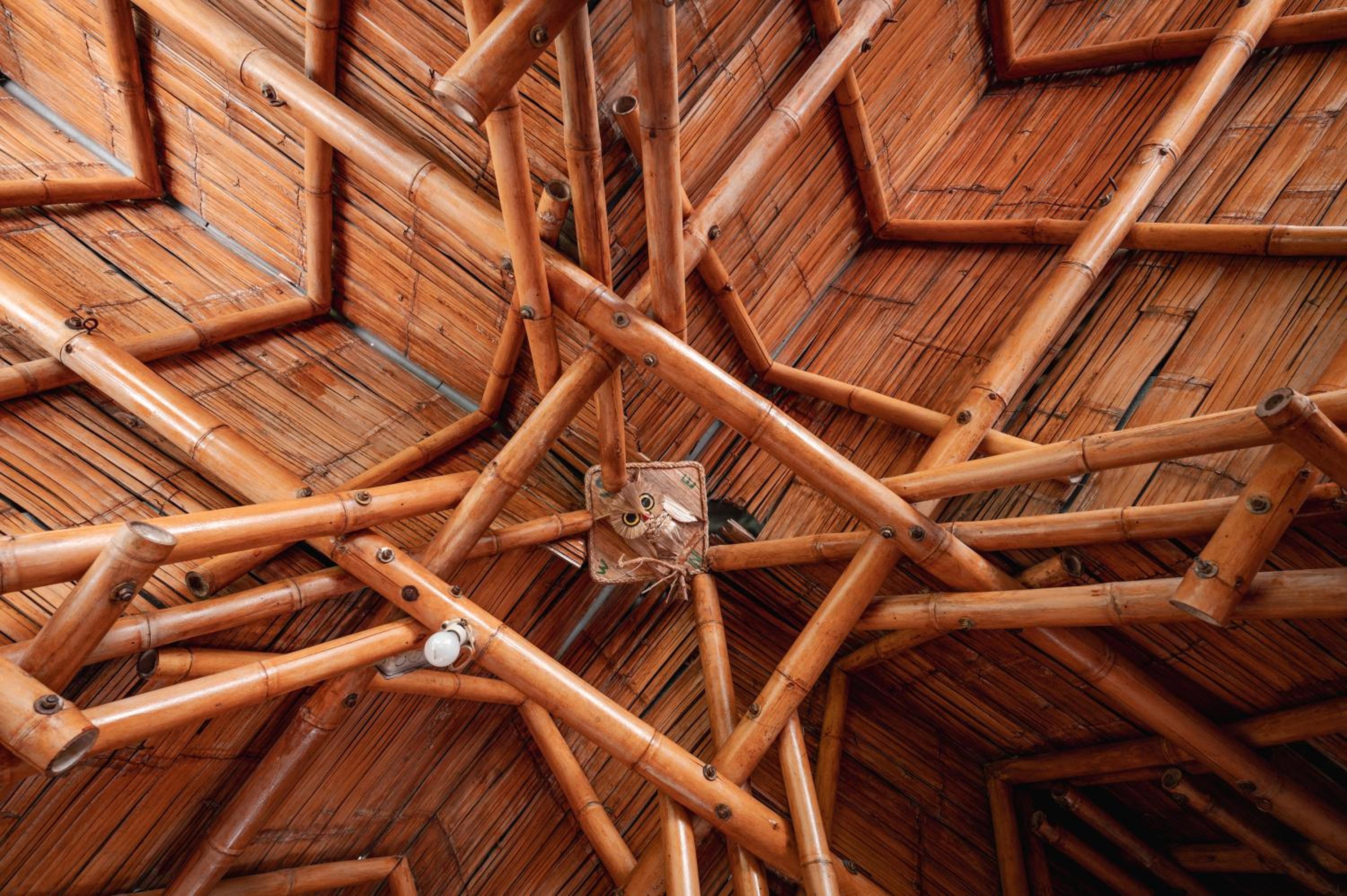 Chalet Ecoturismo La Nohelia