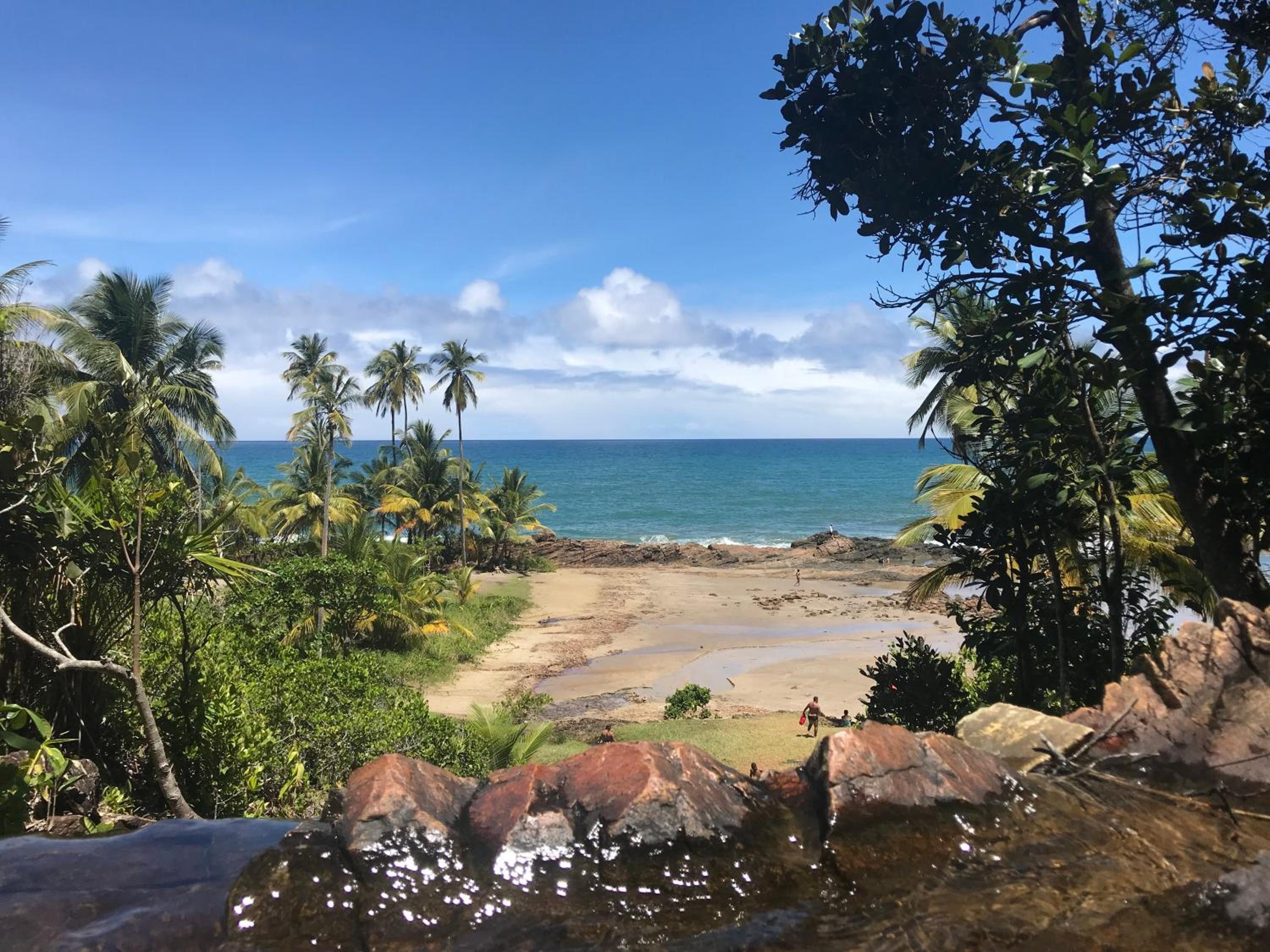 Casa na natureza