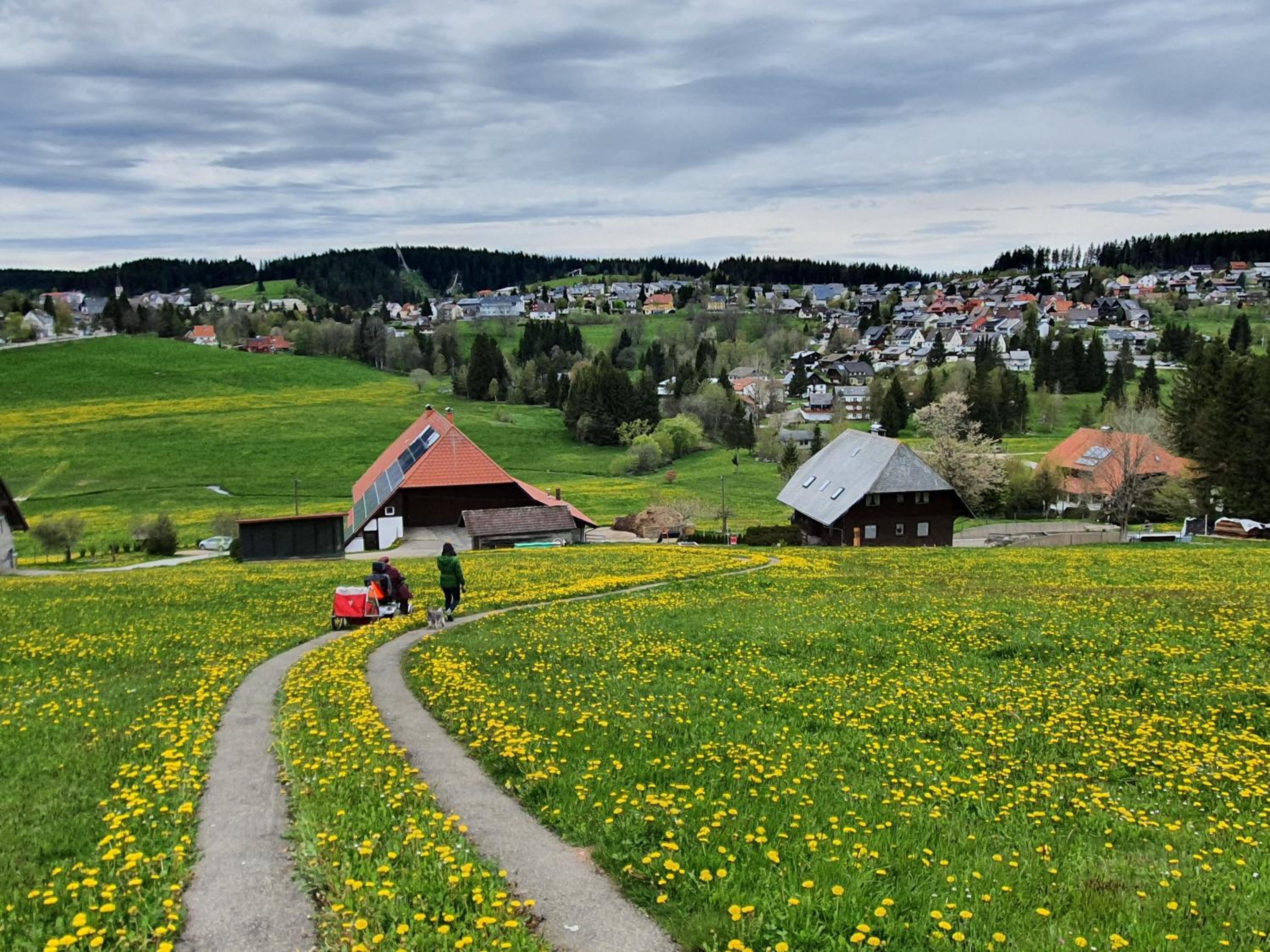 Ferienhaus-Schönwald im Herzen des Schwarzwalds 2Zimmer-Wohnung+Balkon App10 view 5