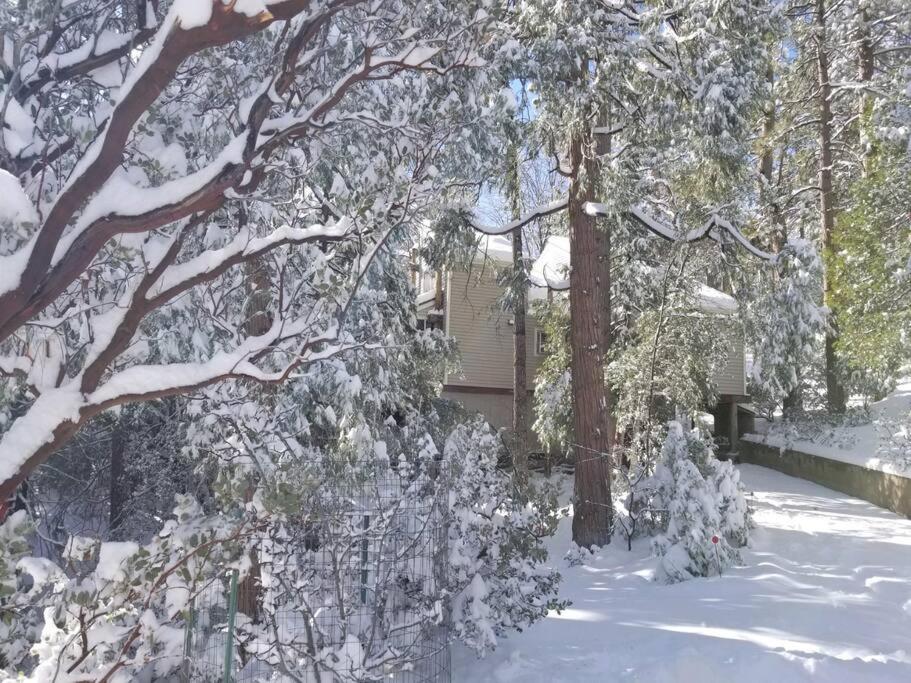CASA de los ARBOLES! Delight & Solitude Abound! view 4