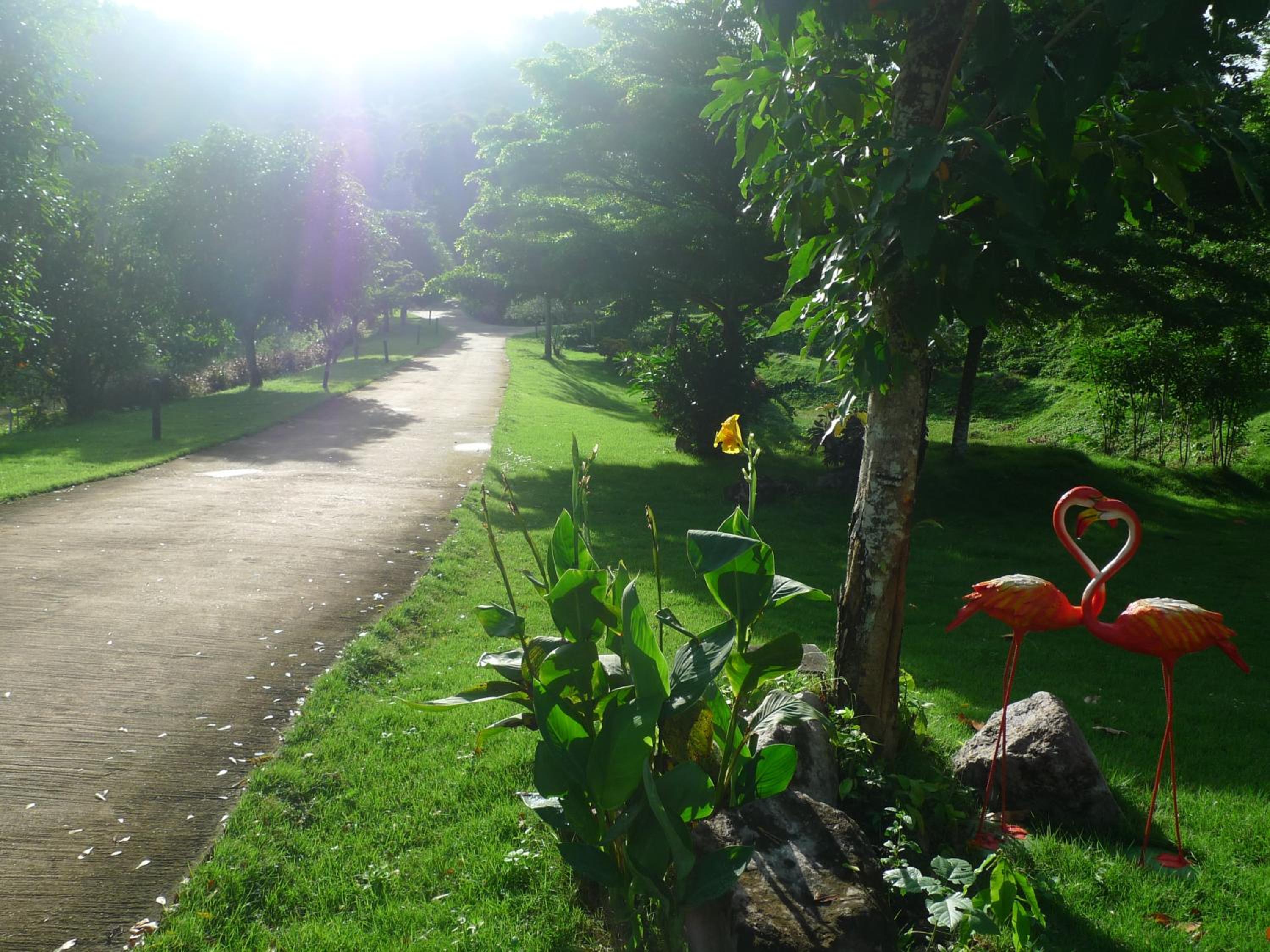 Hi-scene Resort