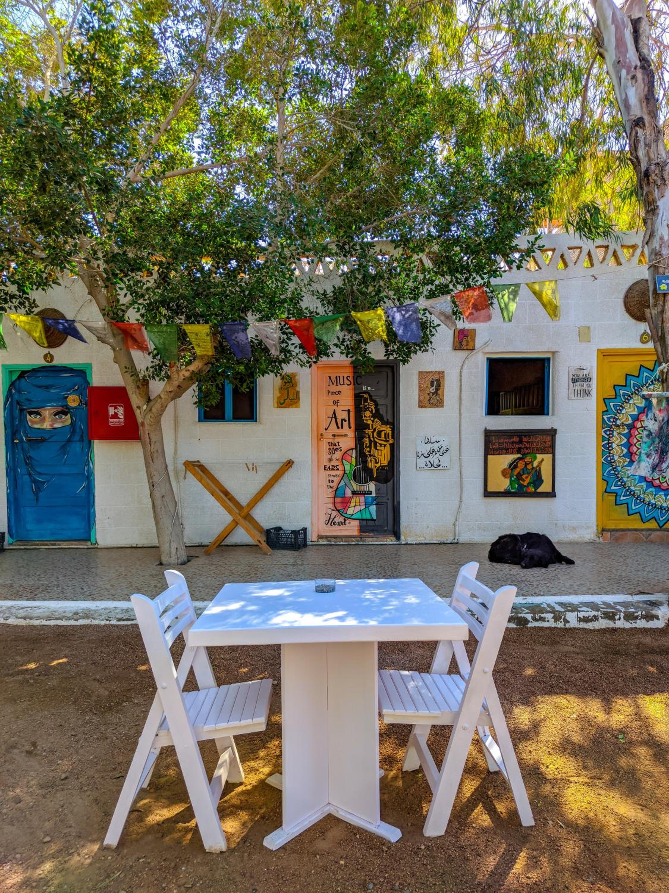 Photo 85