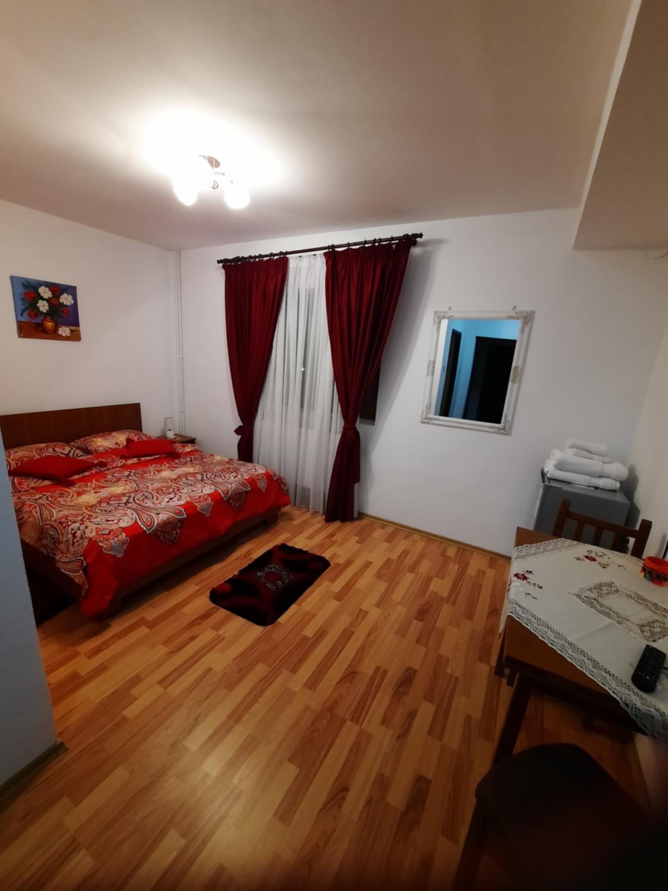 Pensiunea Maria-Elena view 2