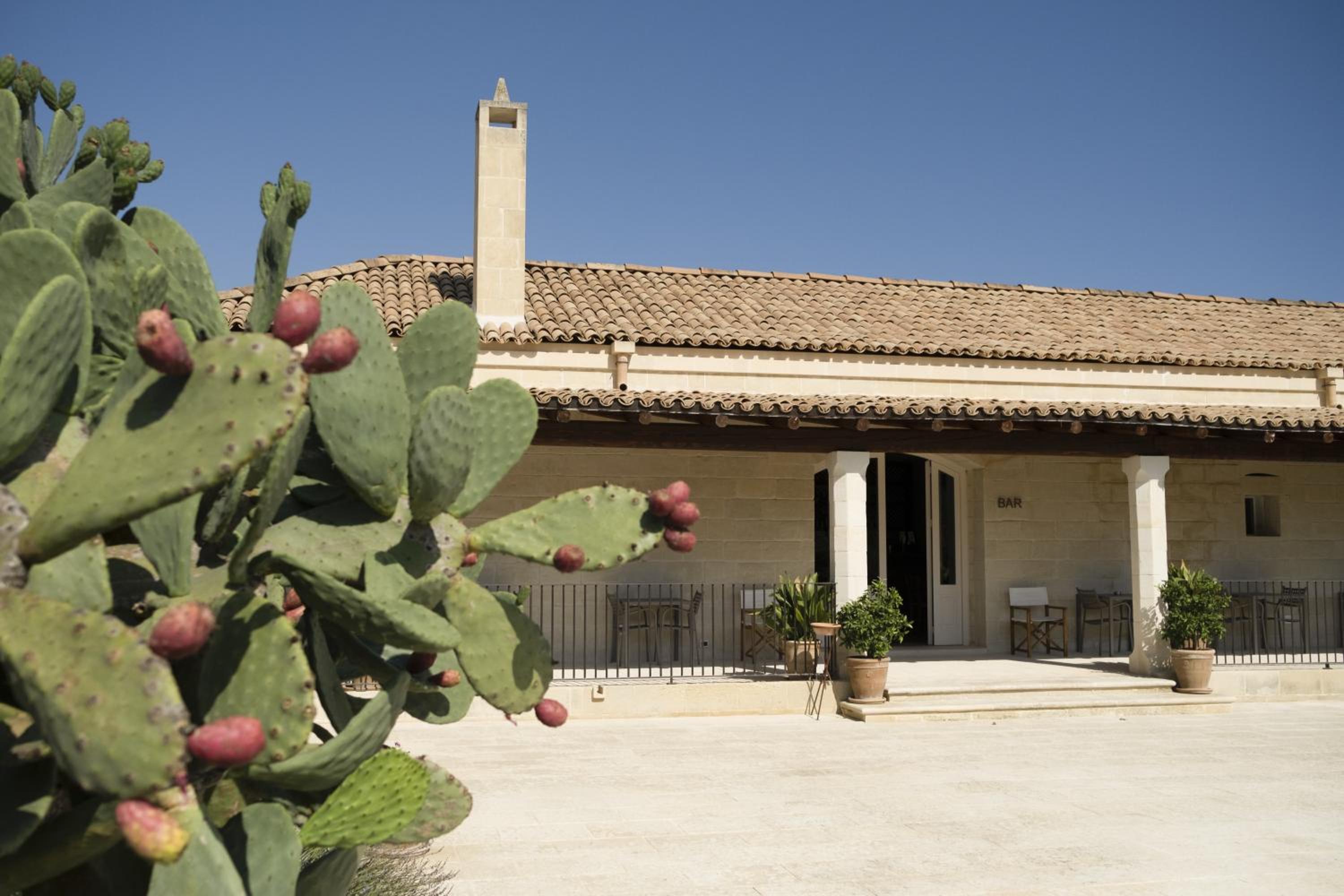 Masseria Lilei - Puglia, Salento, photo 30