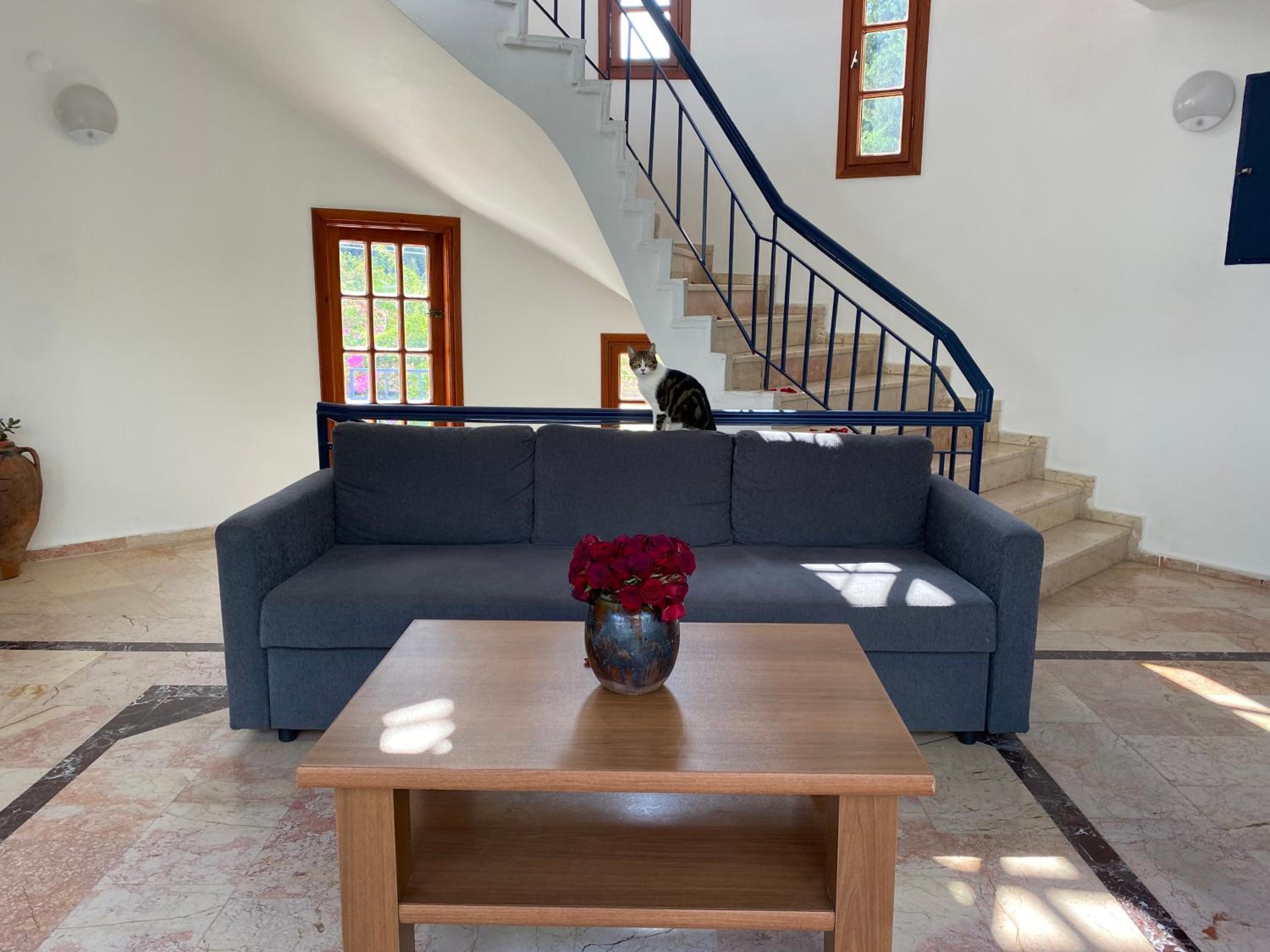 NATURELLA APART HOTEL - Image 134