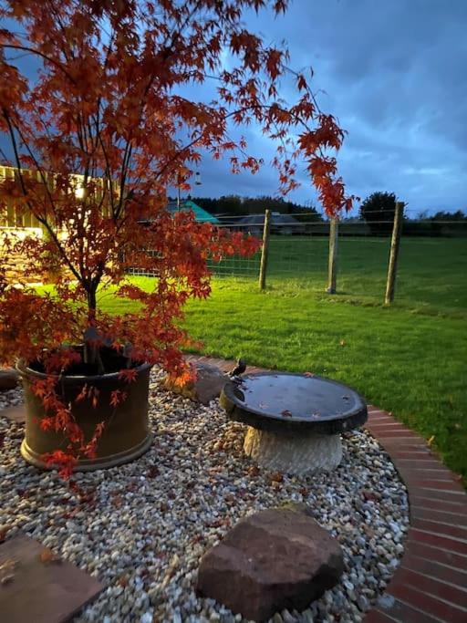 Courtyard Cottage