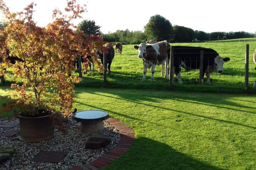 Courtyard Cottage