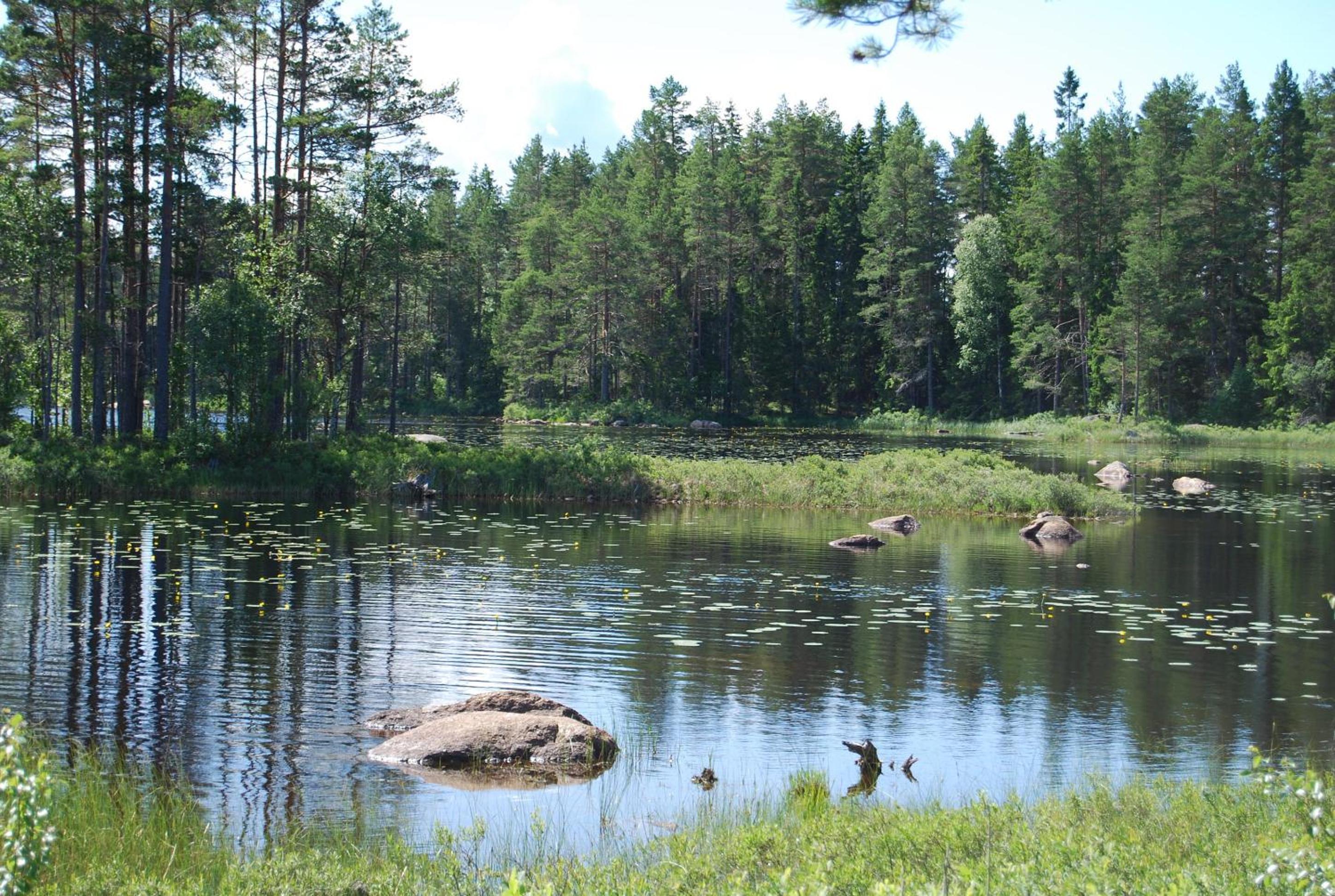 Photo 22