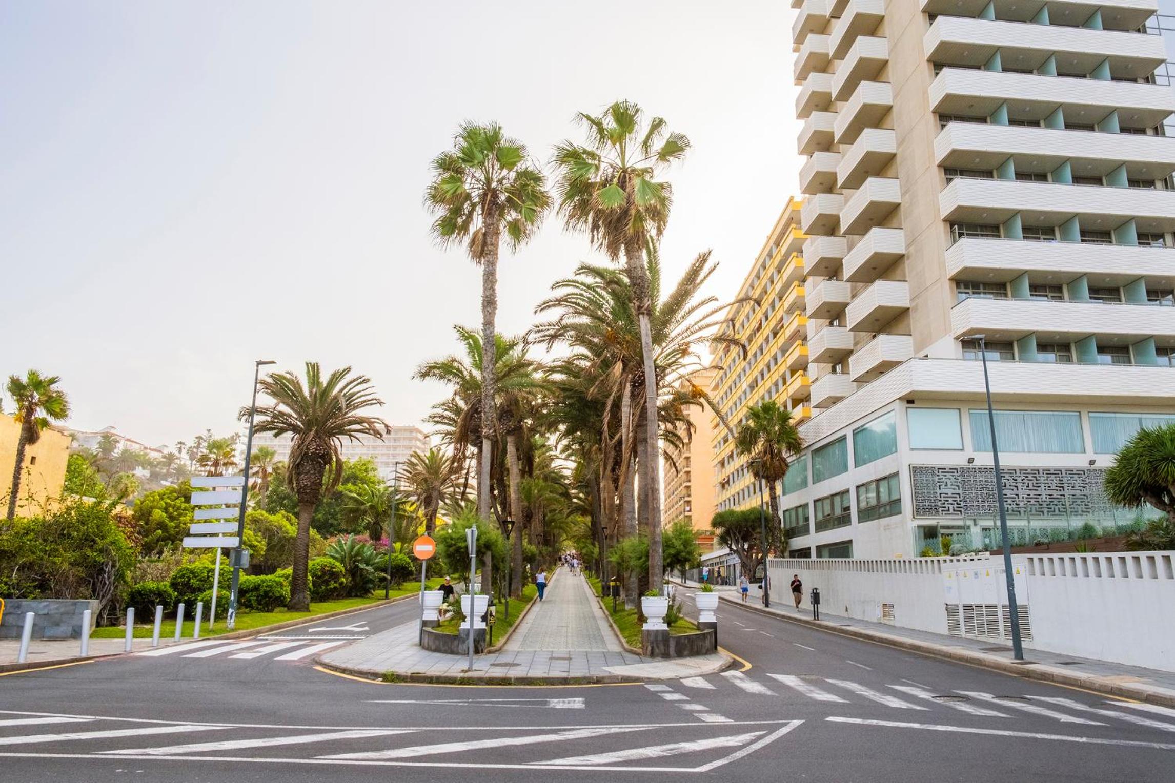 Live puerto de la cruz las palmeras view 4