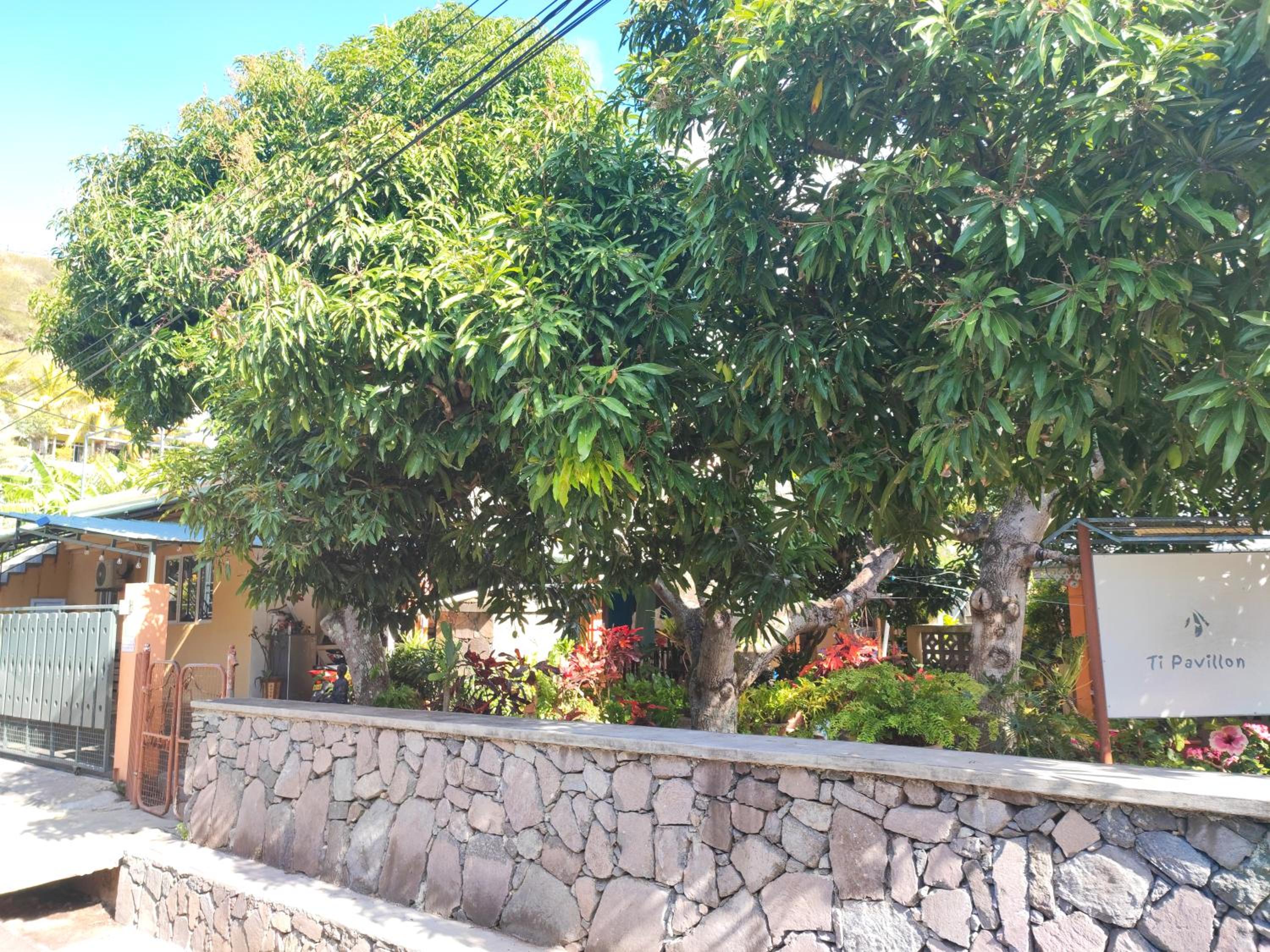 Photo 15
