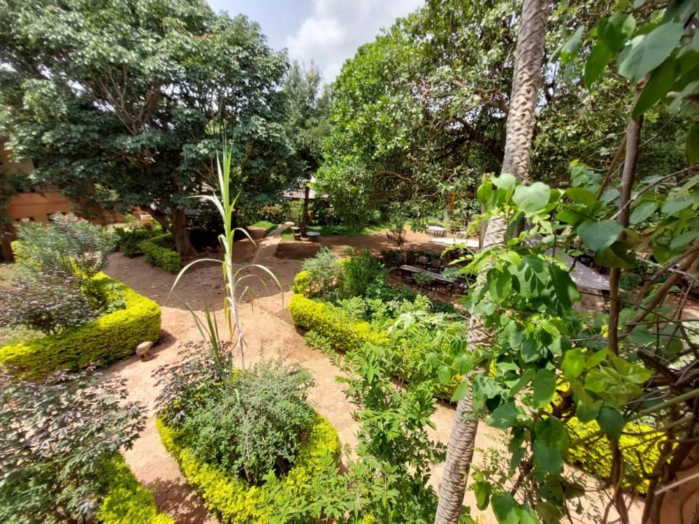 garden