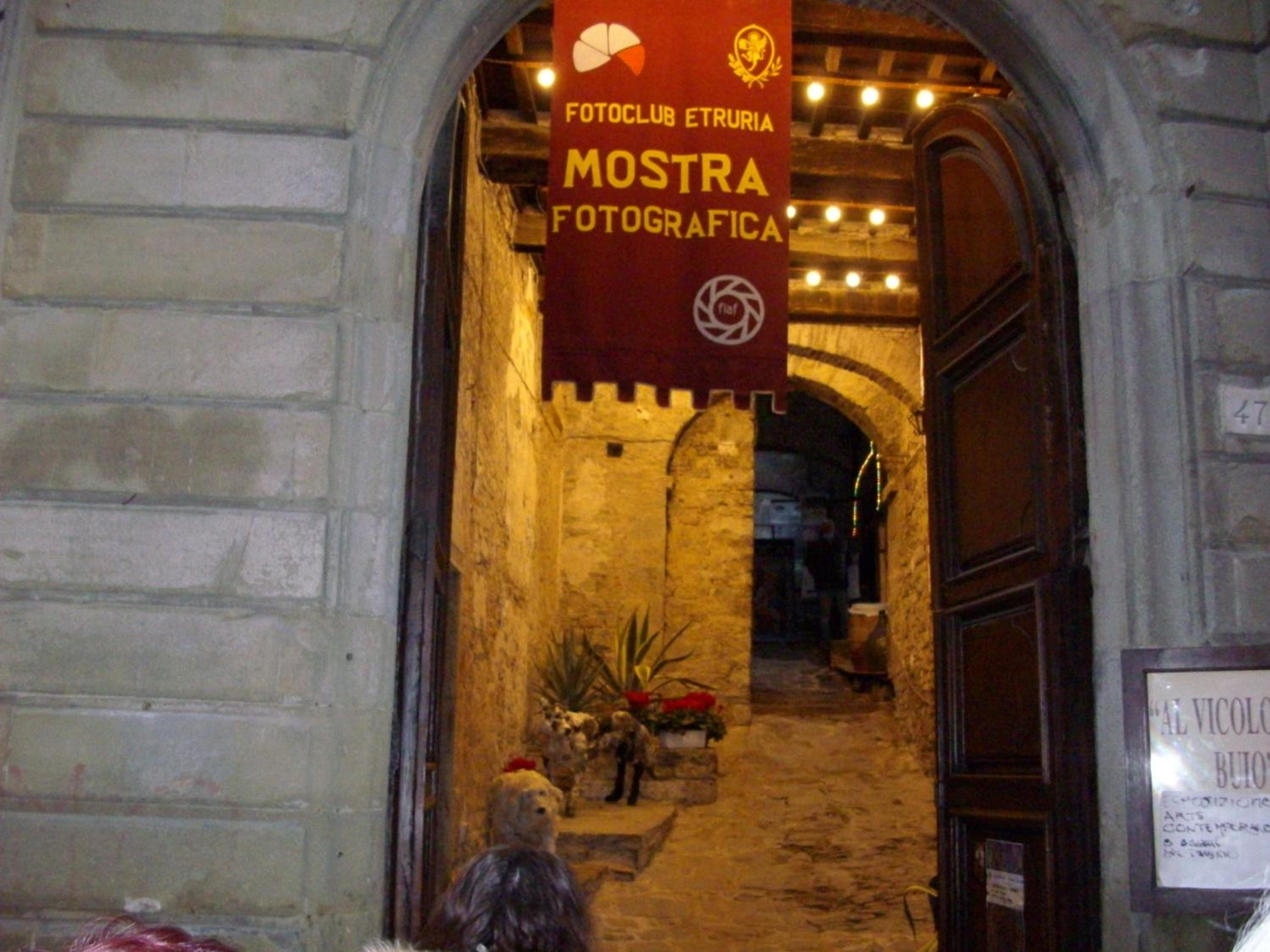 Photo 47