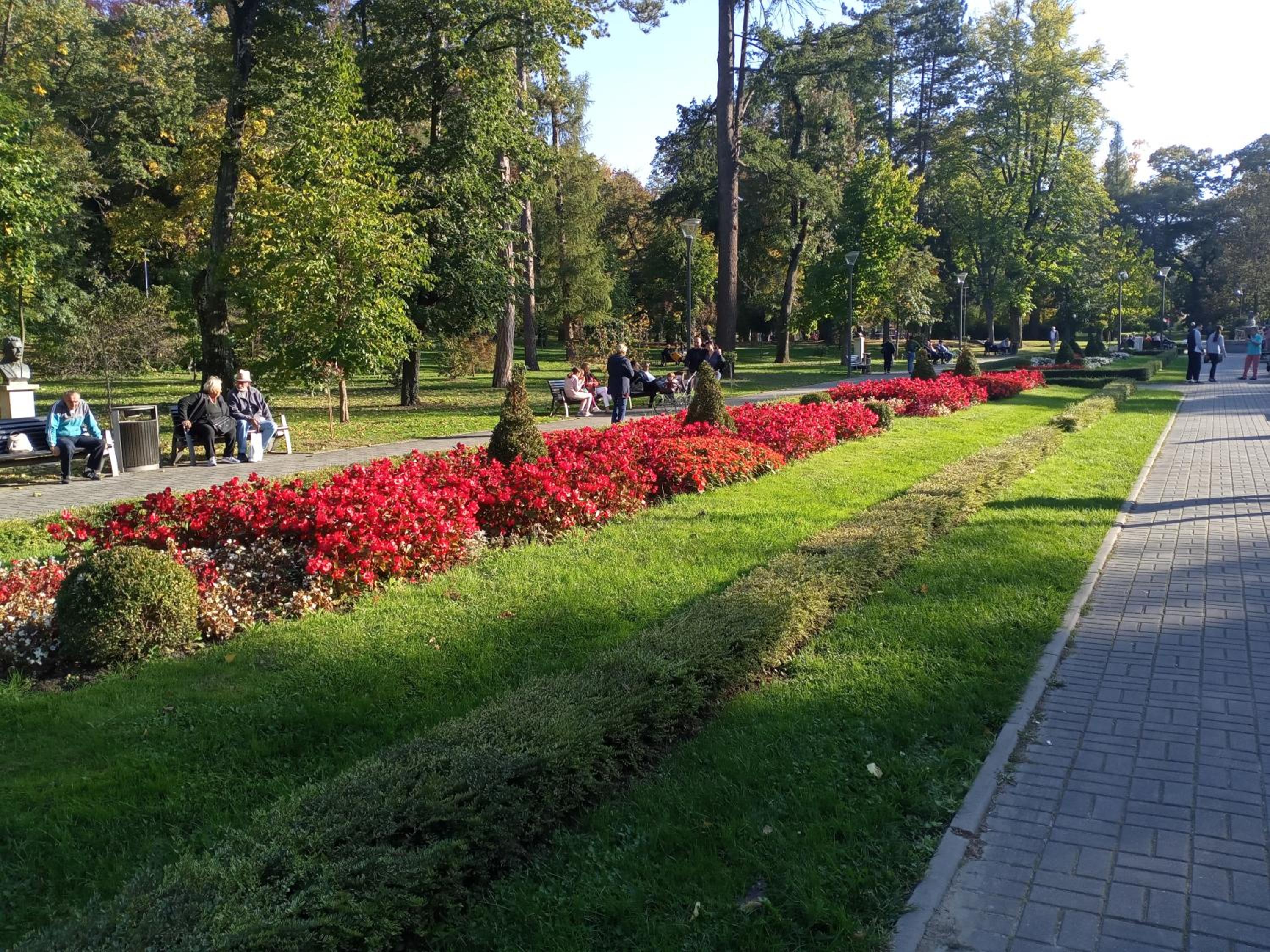 Photo 53