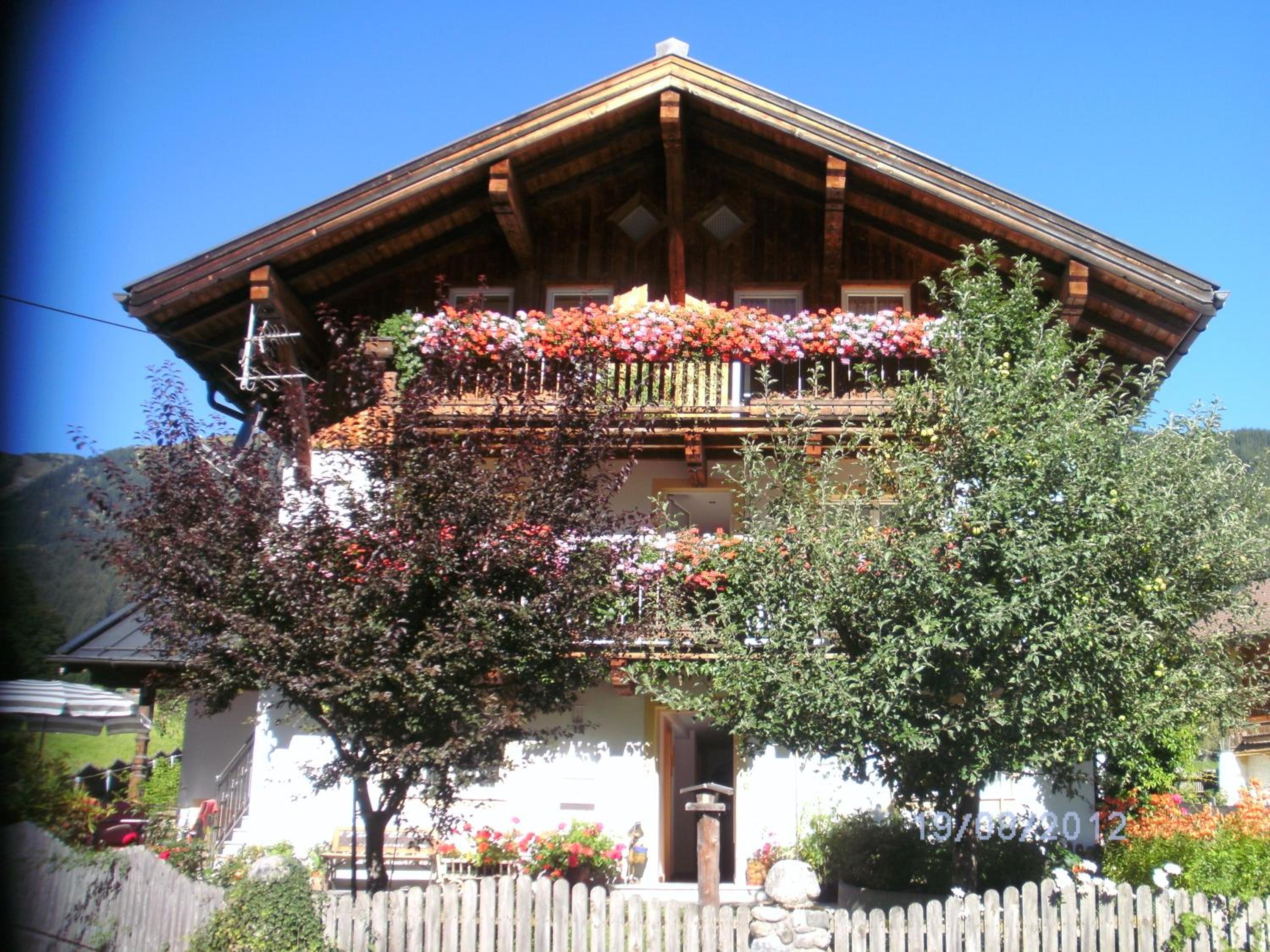 Photo 8